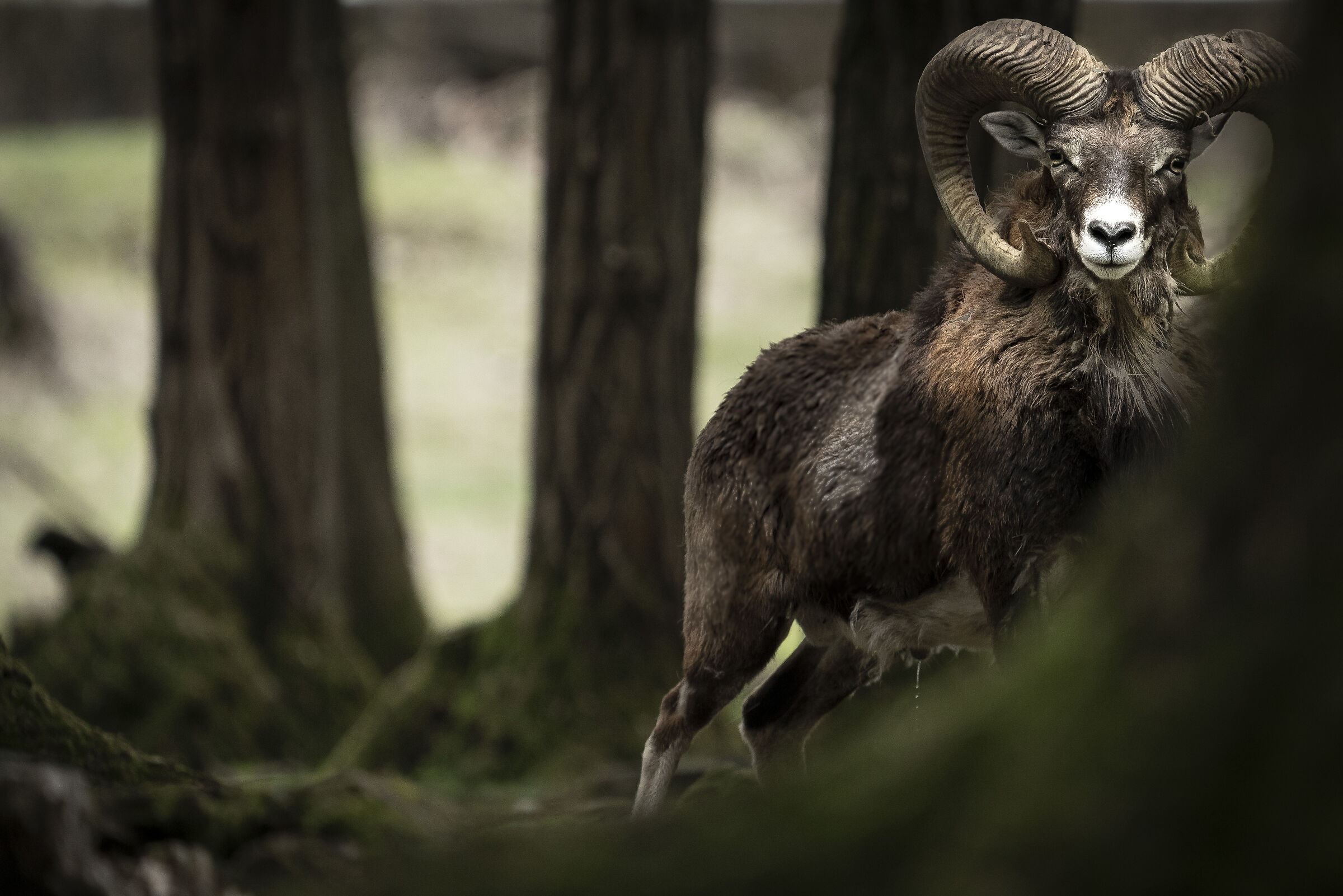 I'm keeping an eye on you!