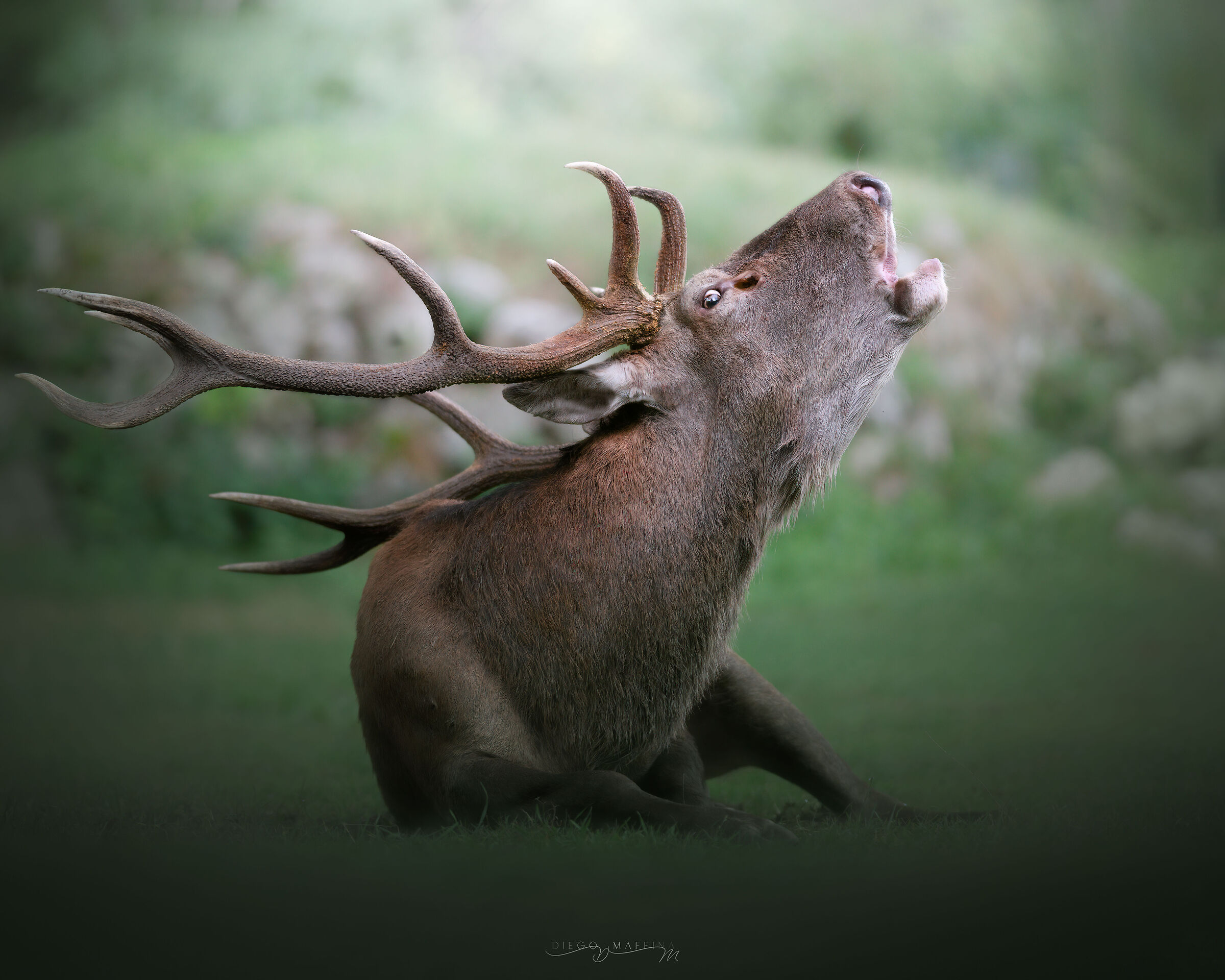 Moments of September