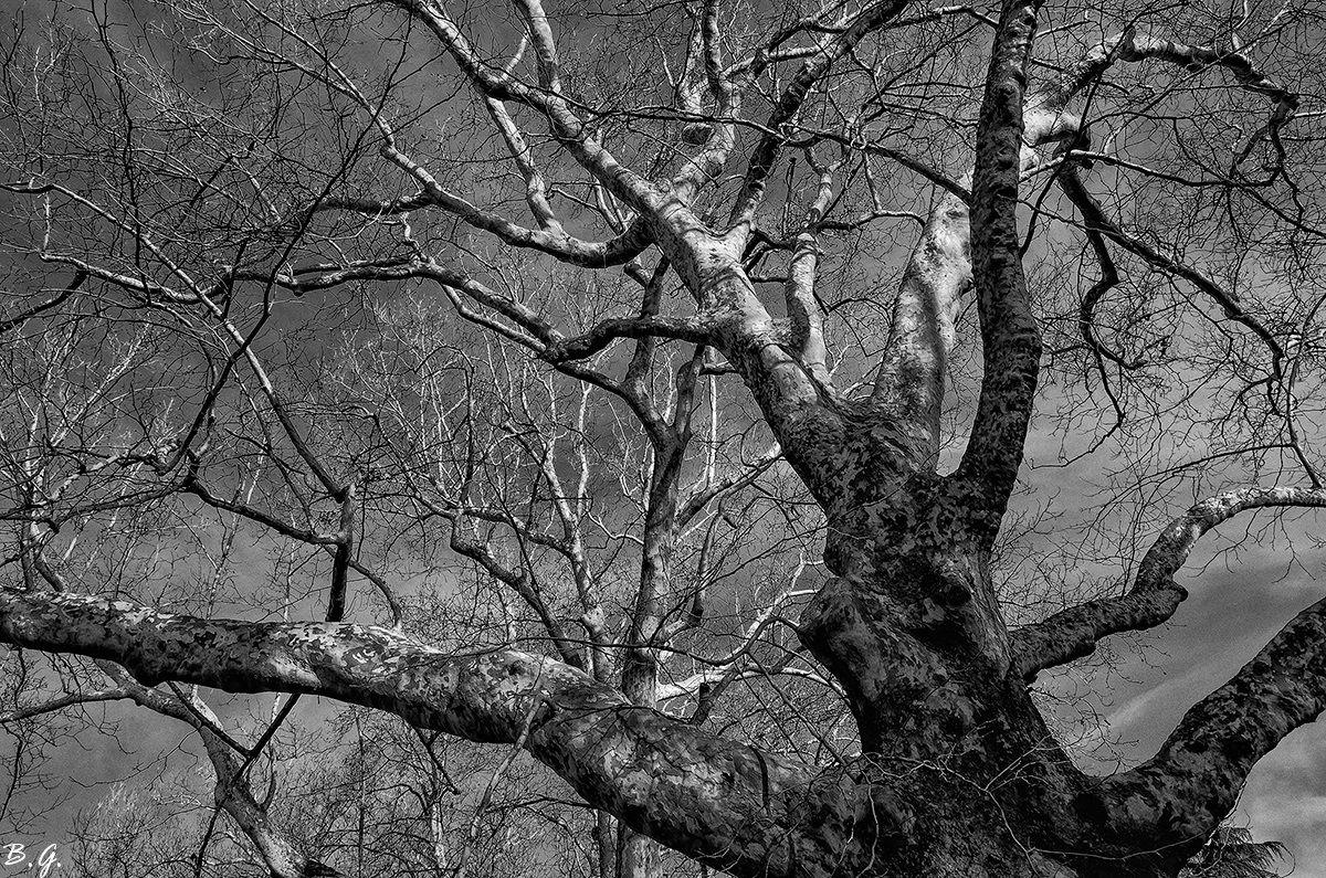 They arrive at the sky ....