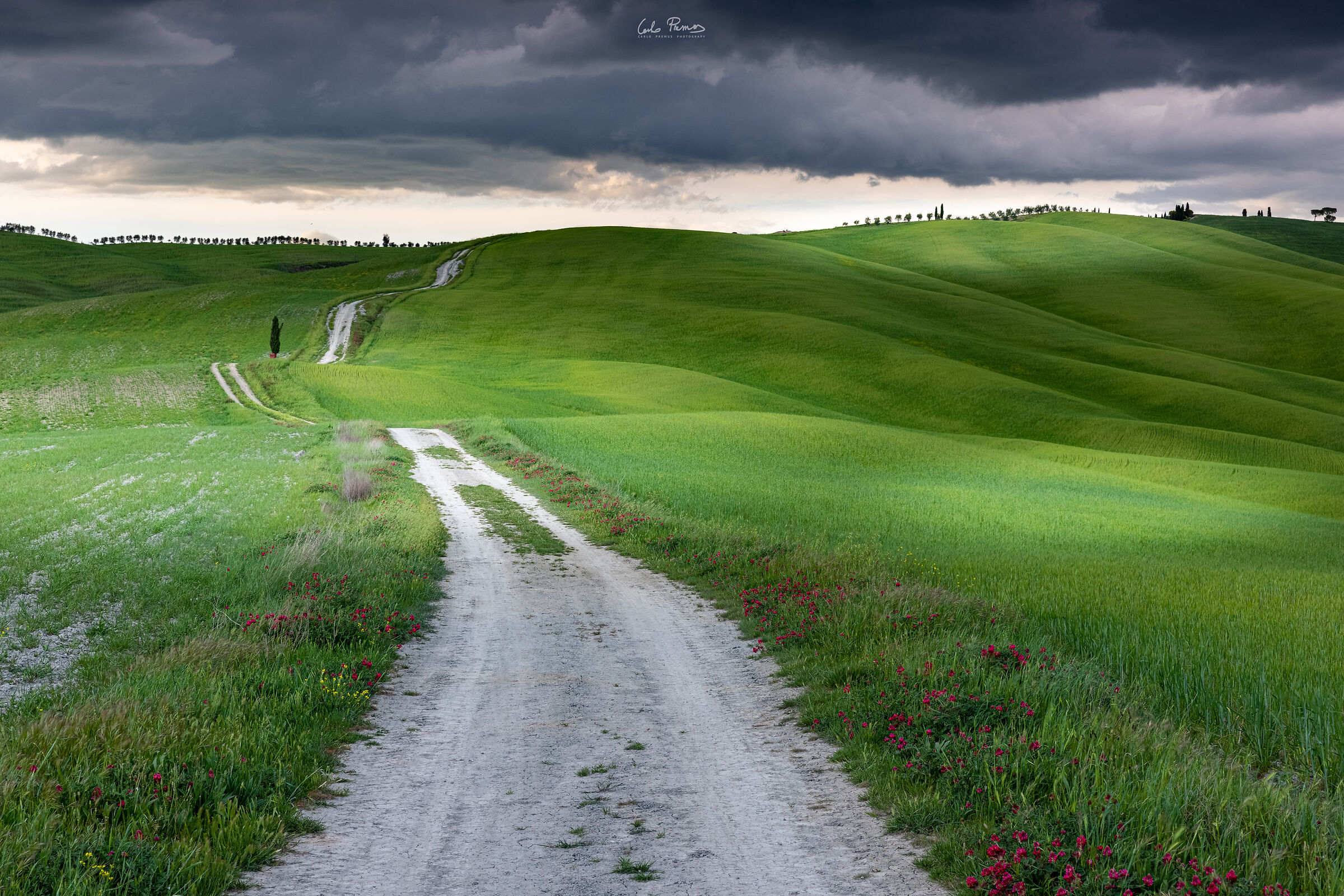 La magia della Val d'Orcia