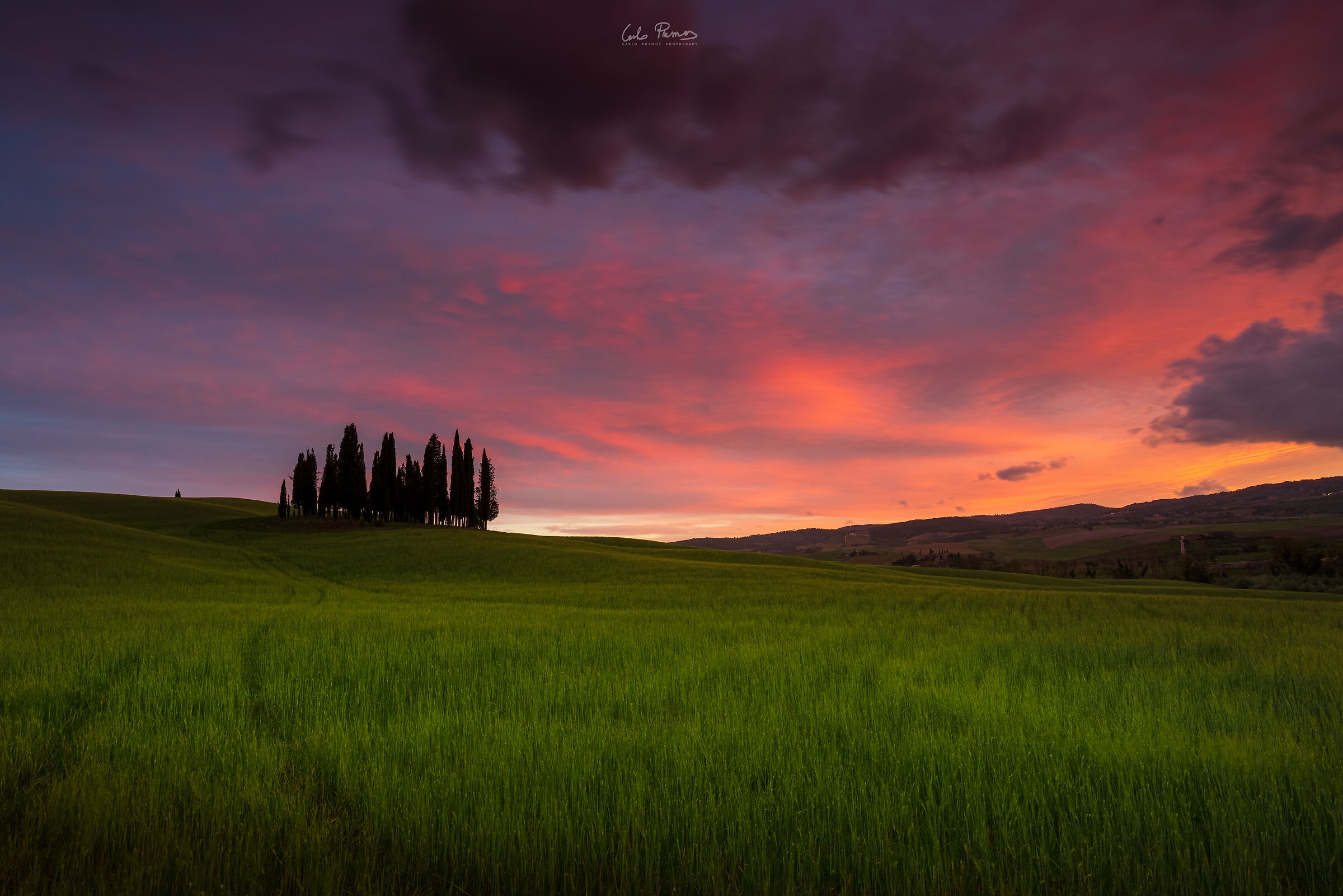 The Cypress Trees of San Quirico d'Orcia