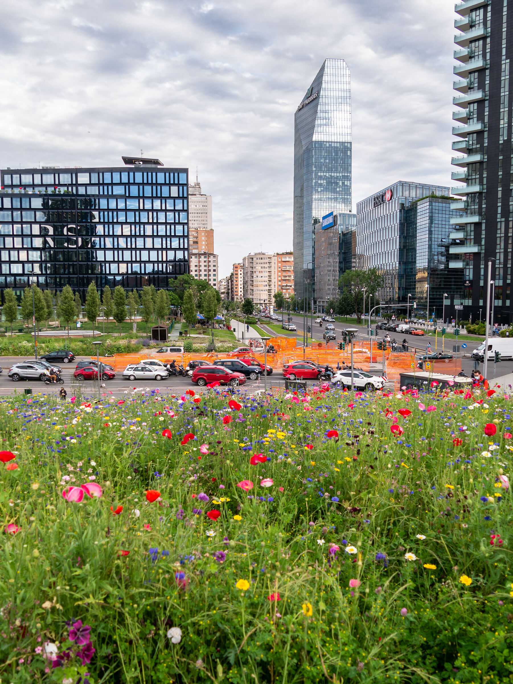 Tree Library - Milan