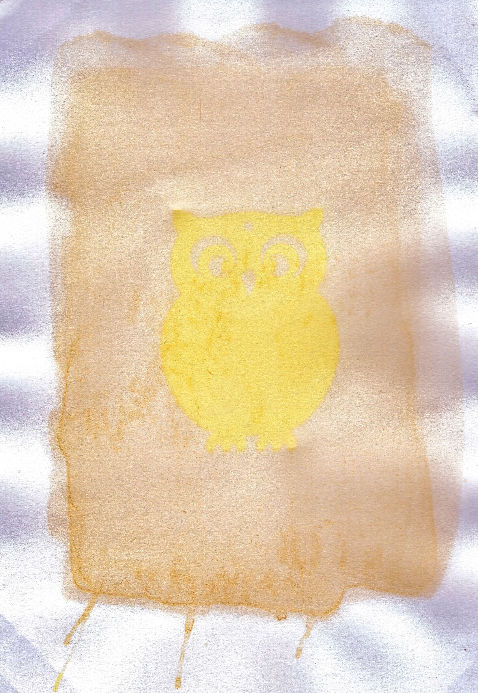 Anthotype ... technical tests 2