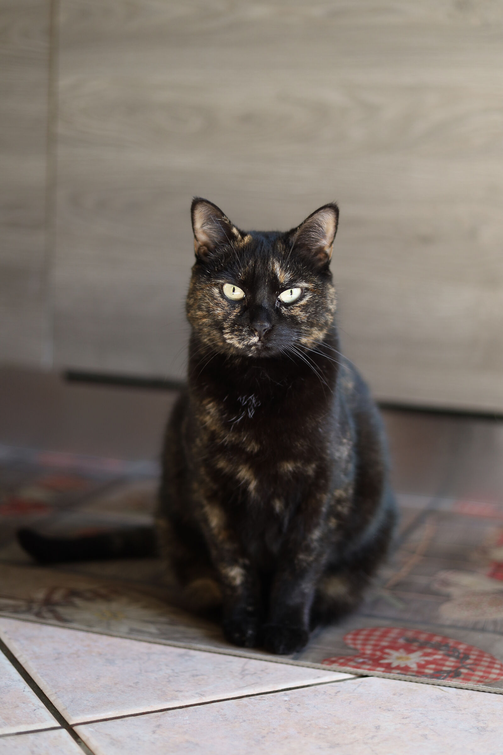 The eye of the tiger