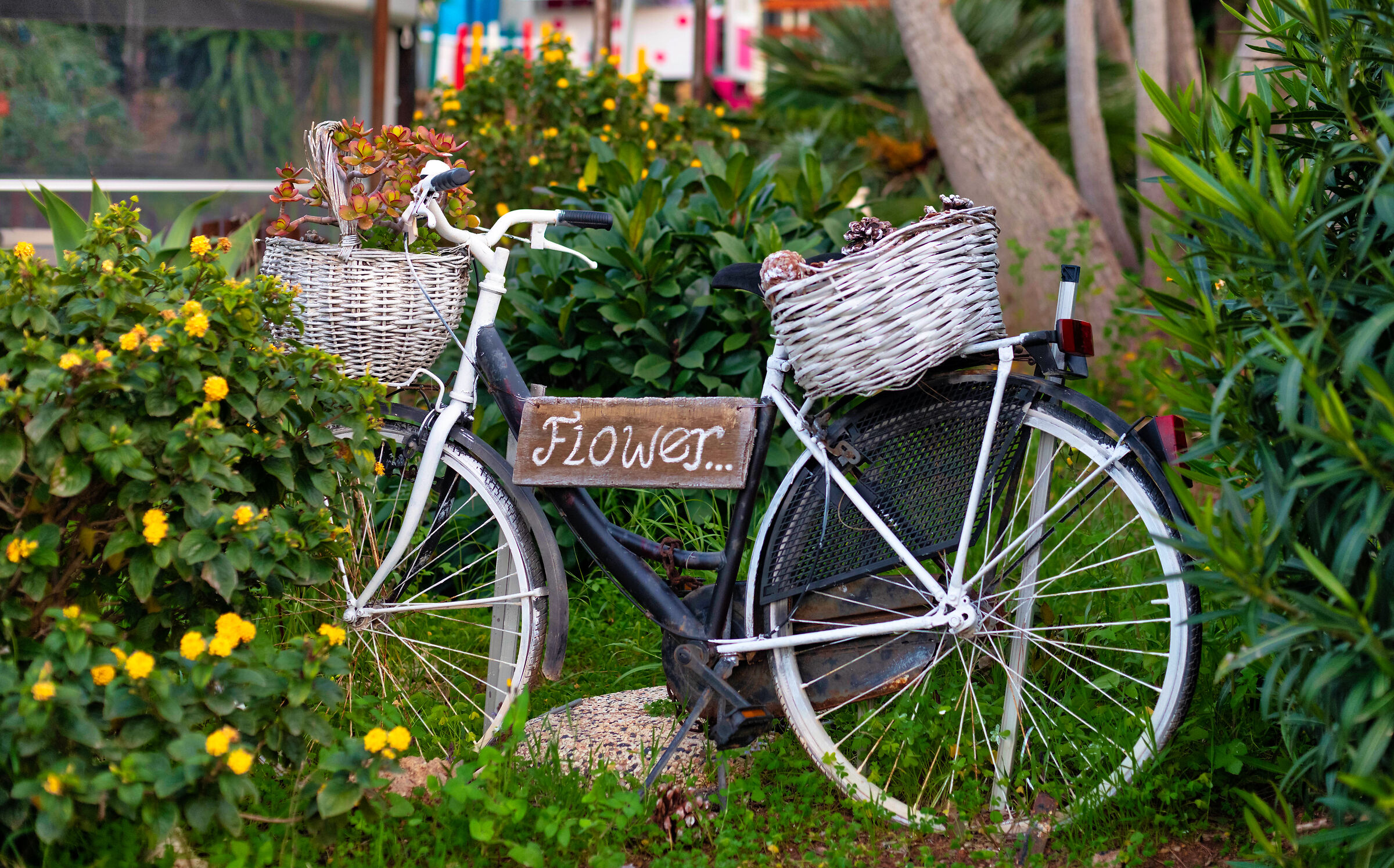 Flowers in bici