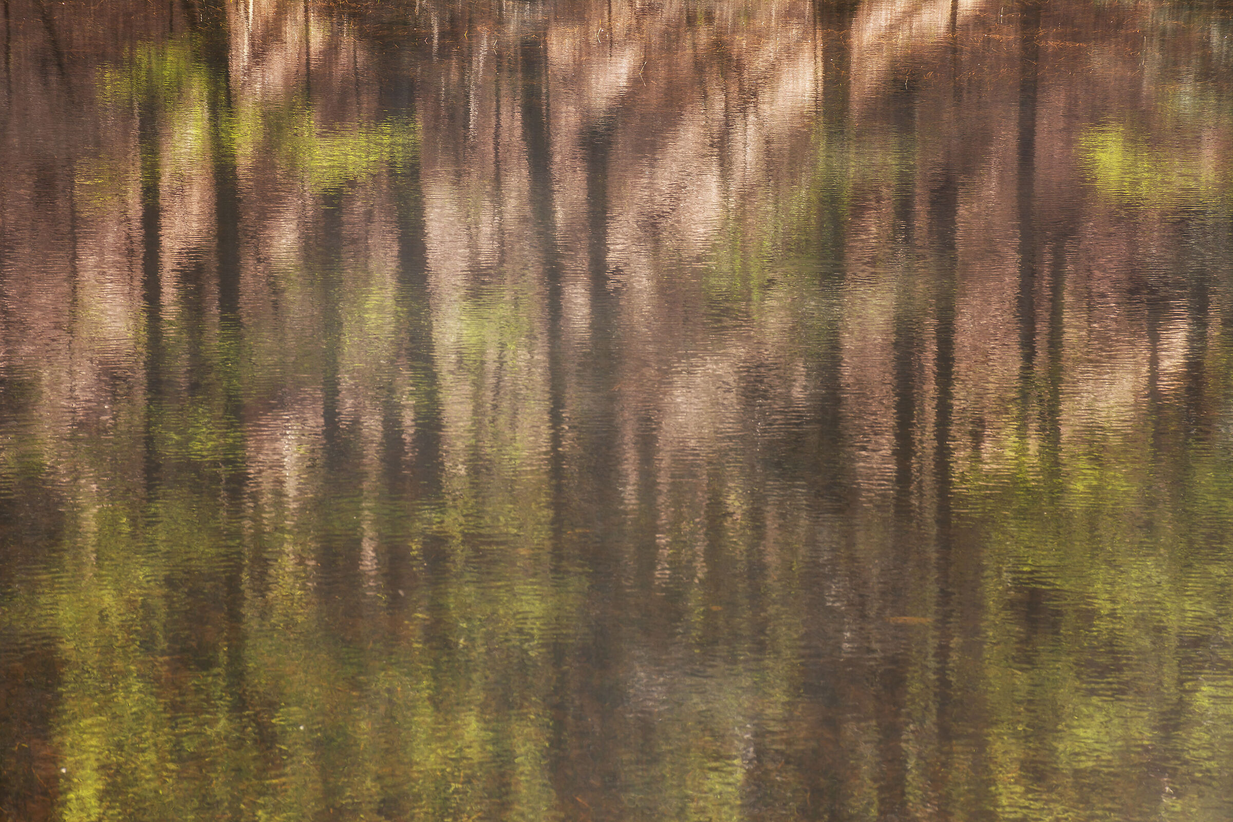 Impressionismo naturale