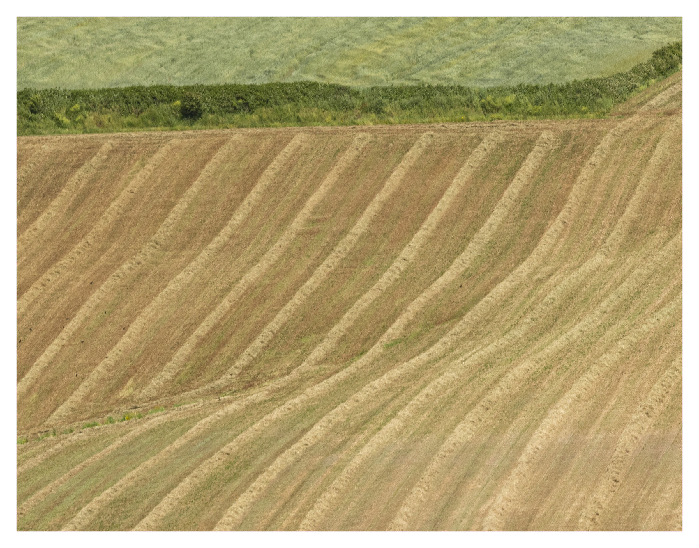 Bulication undulations