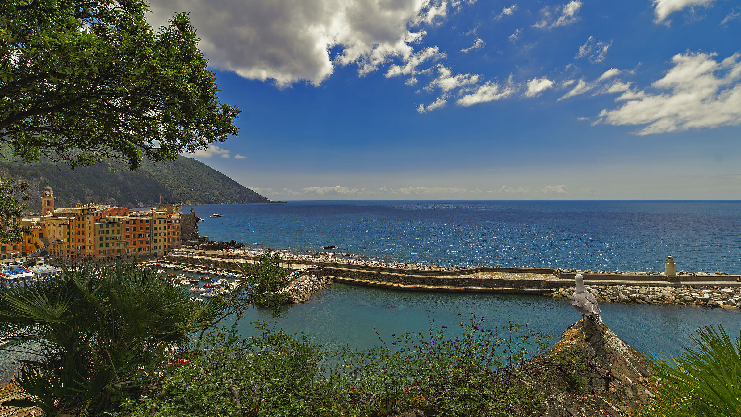 Il quardiano del faro