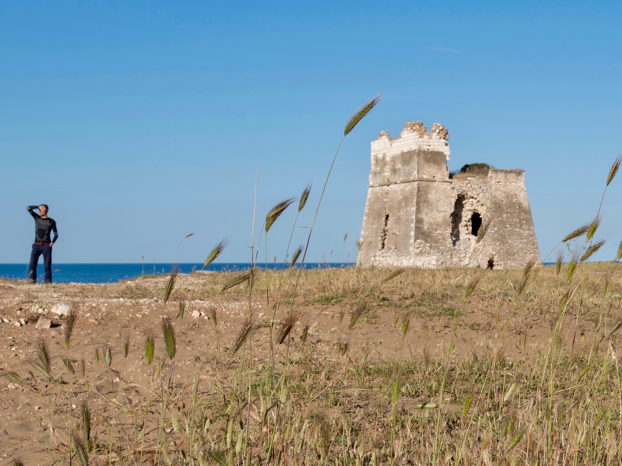 Spighe torre e turista