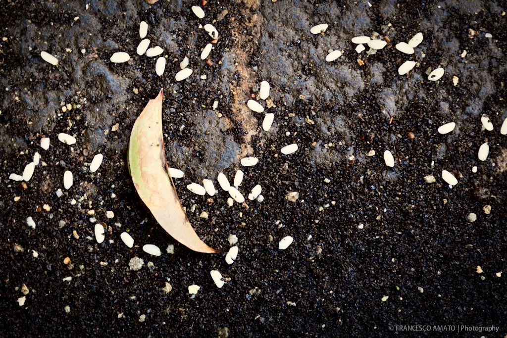 Matrimonio tra le ceneri