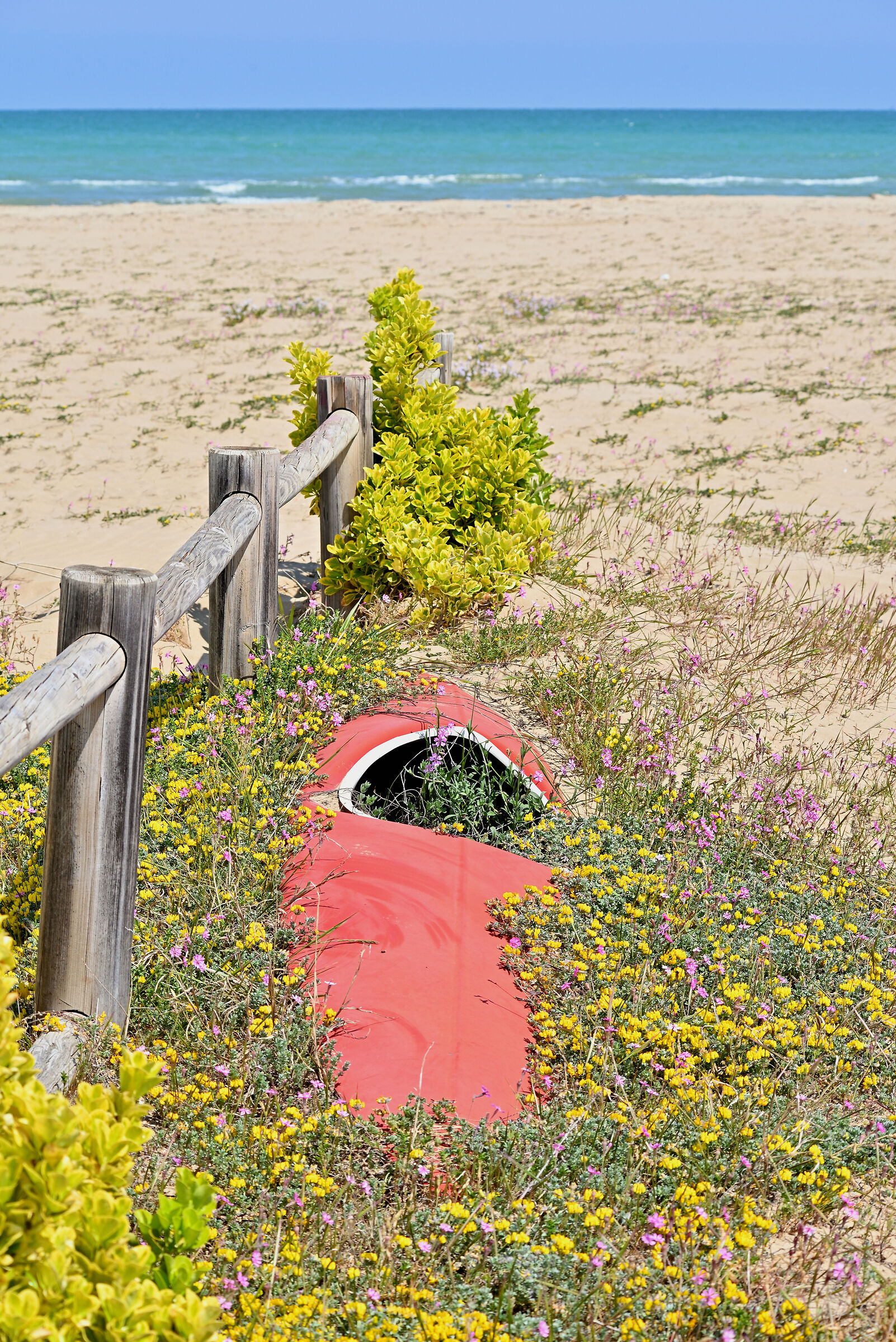 Amico mare mai più ti rivedrò