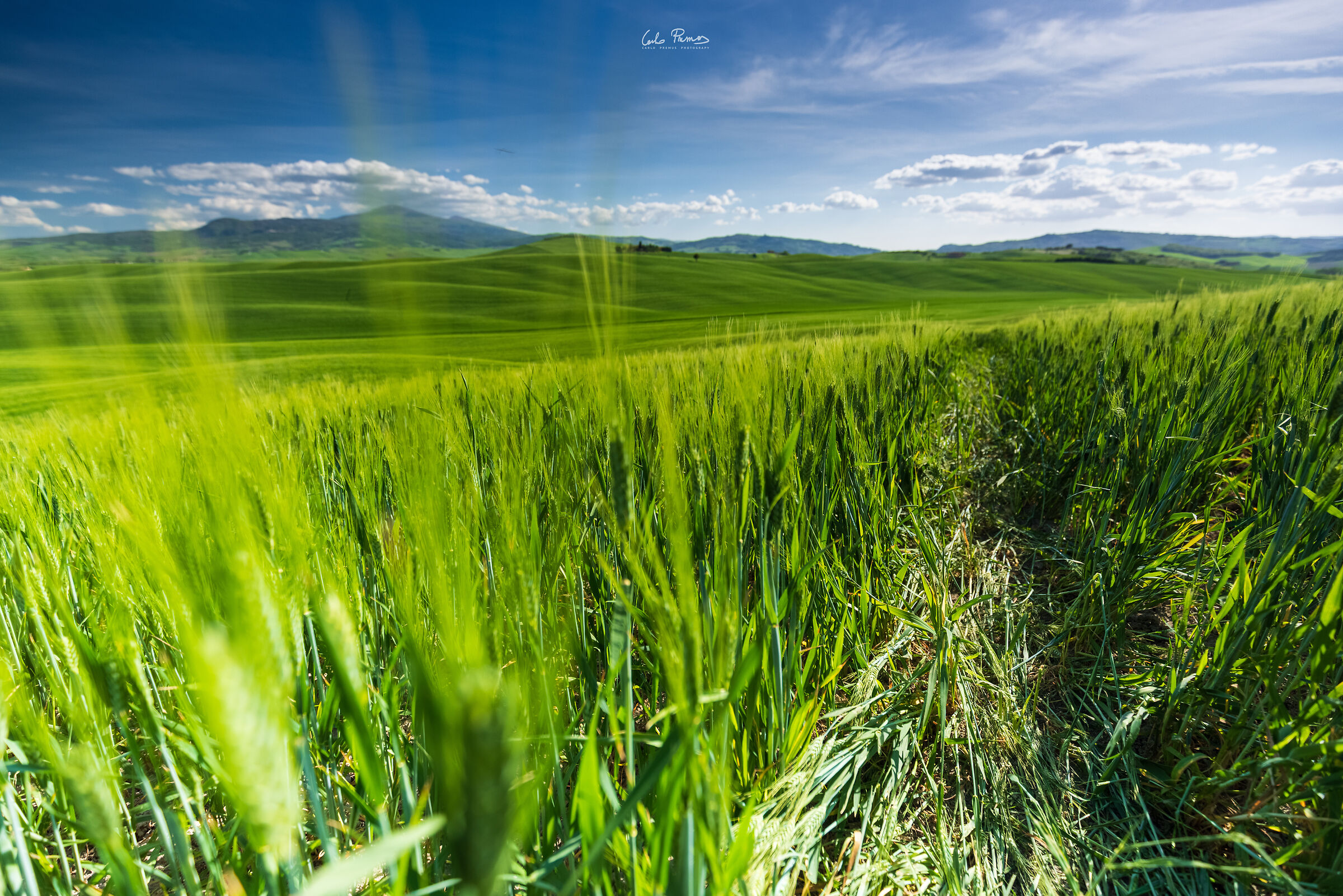 Getting lost in the greenery of the Val d'Orcia...