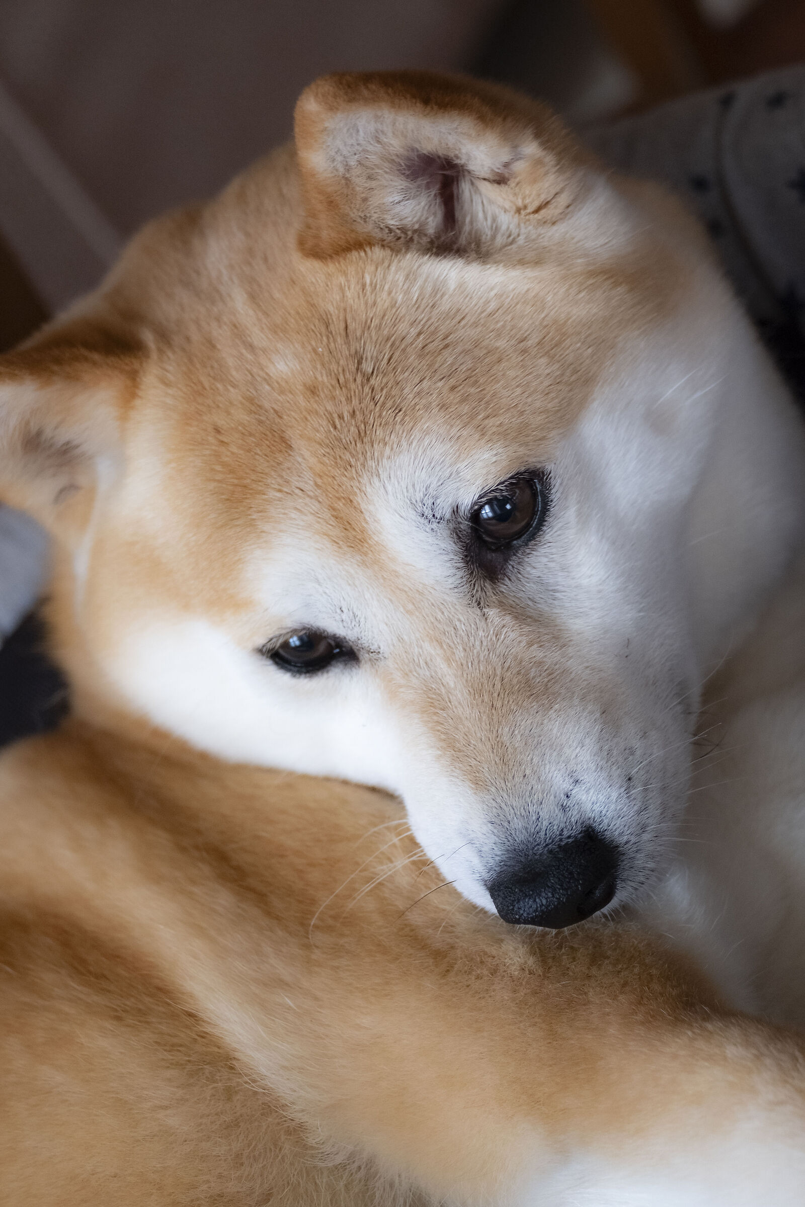 Tre most nice in the world