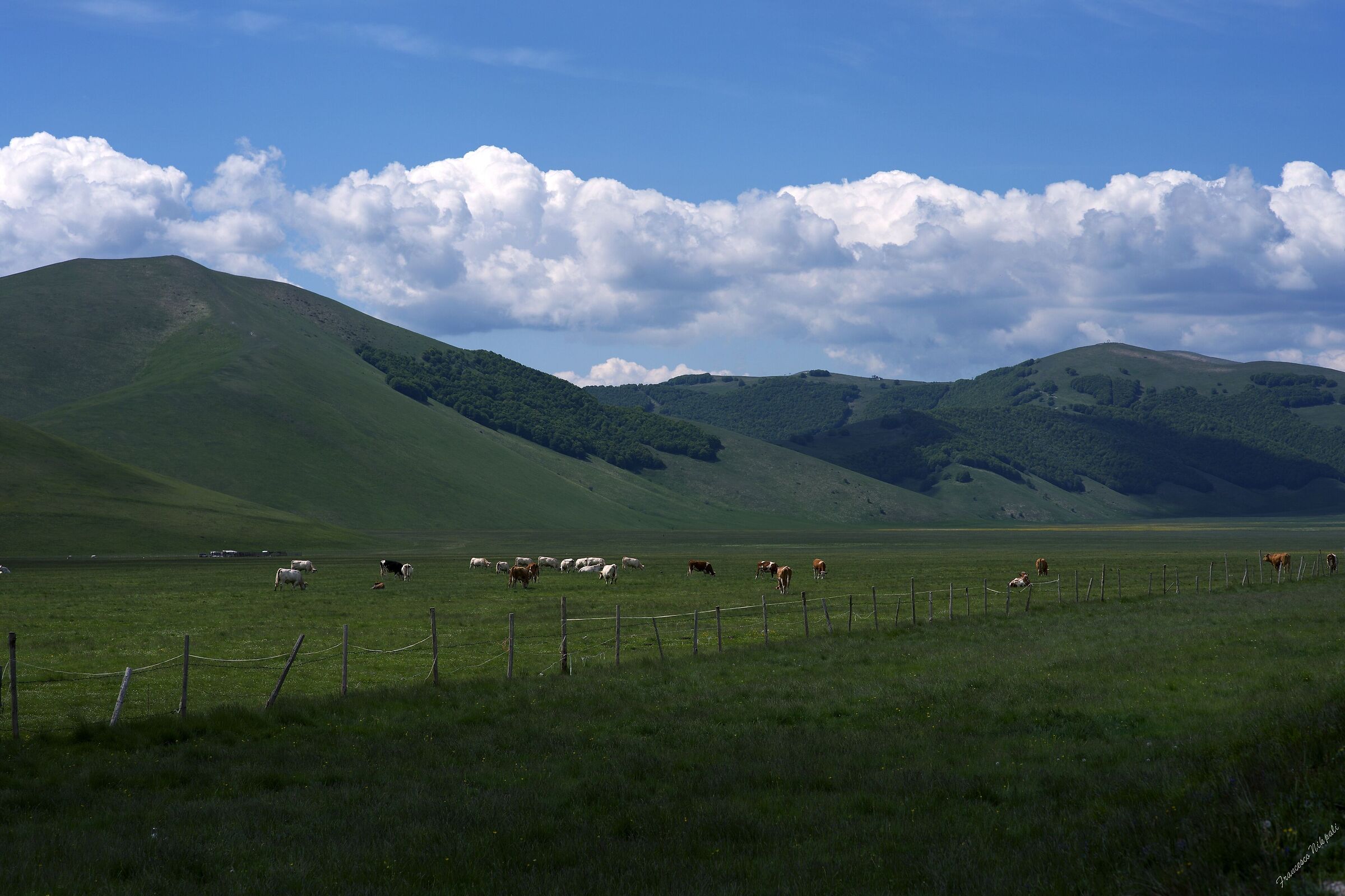 Castelluccio Now