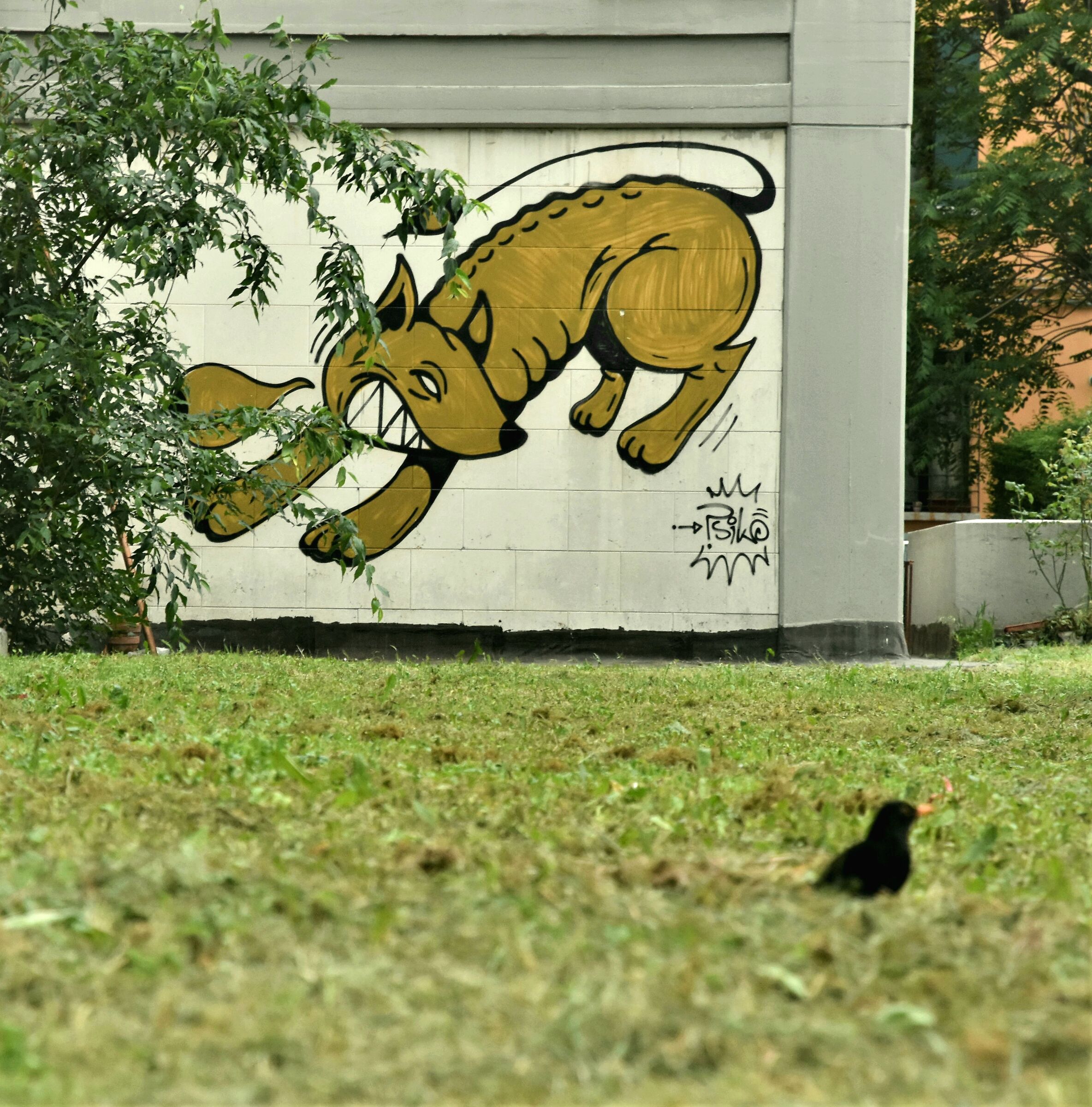 in agguato faccio un balzo e ti mangio!!