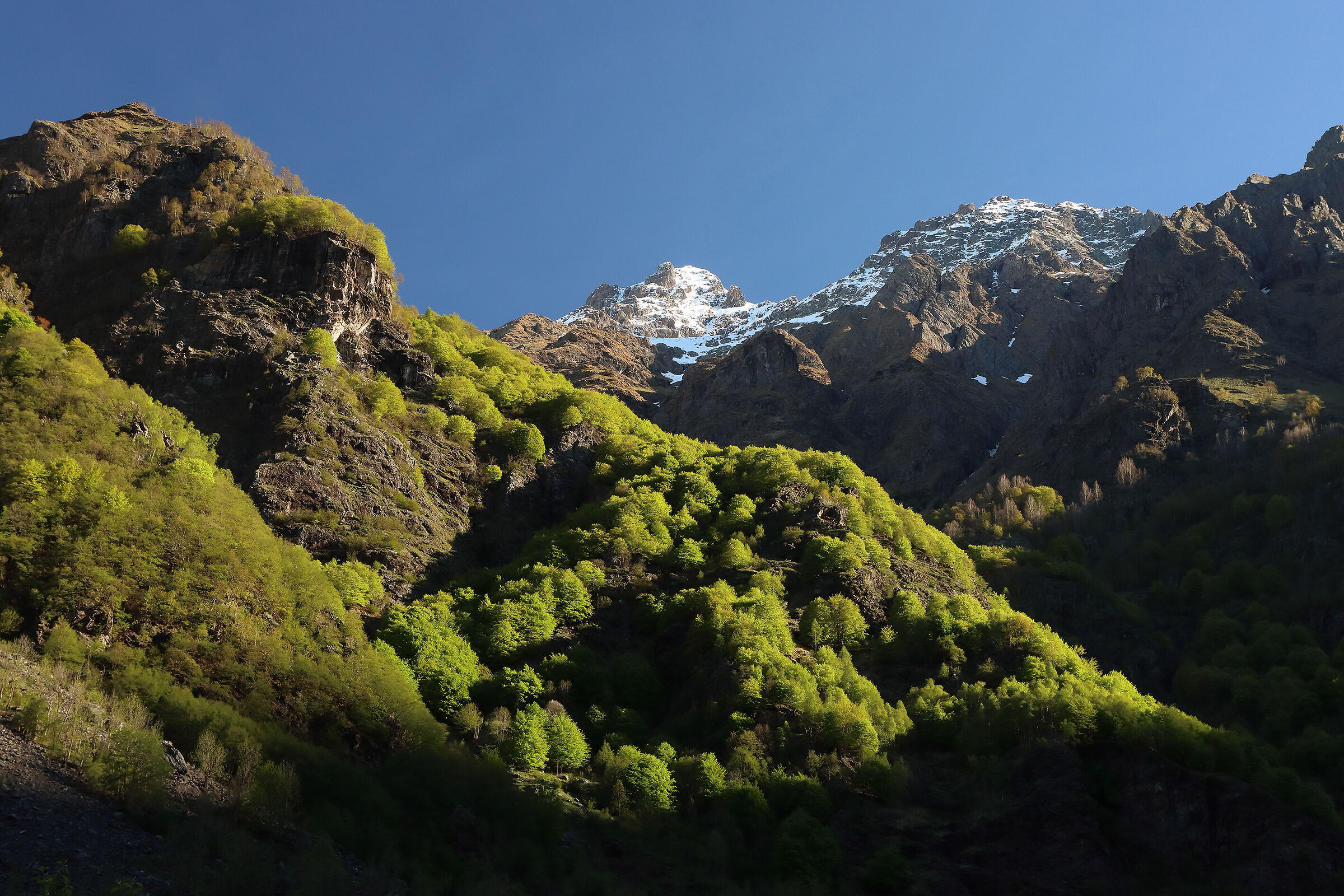 where you climb the path