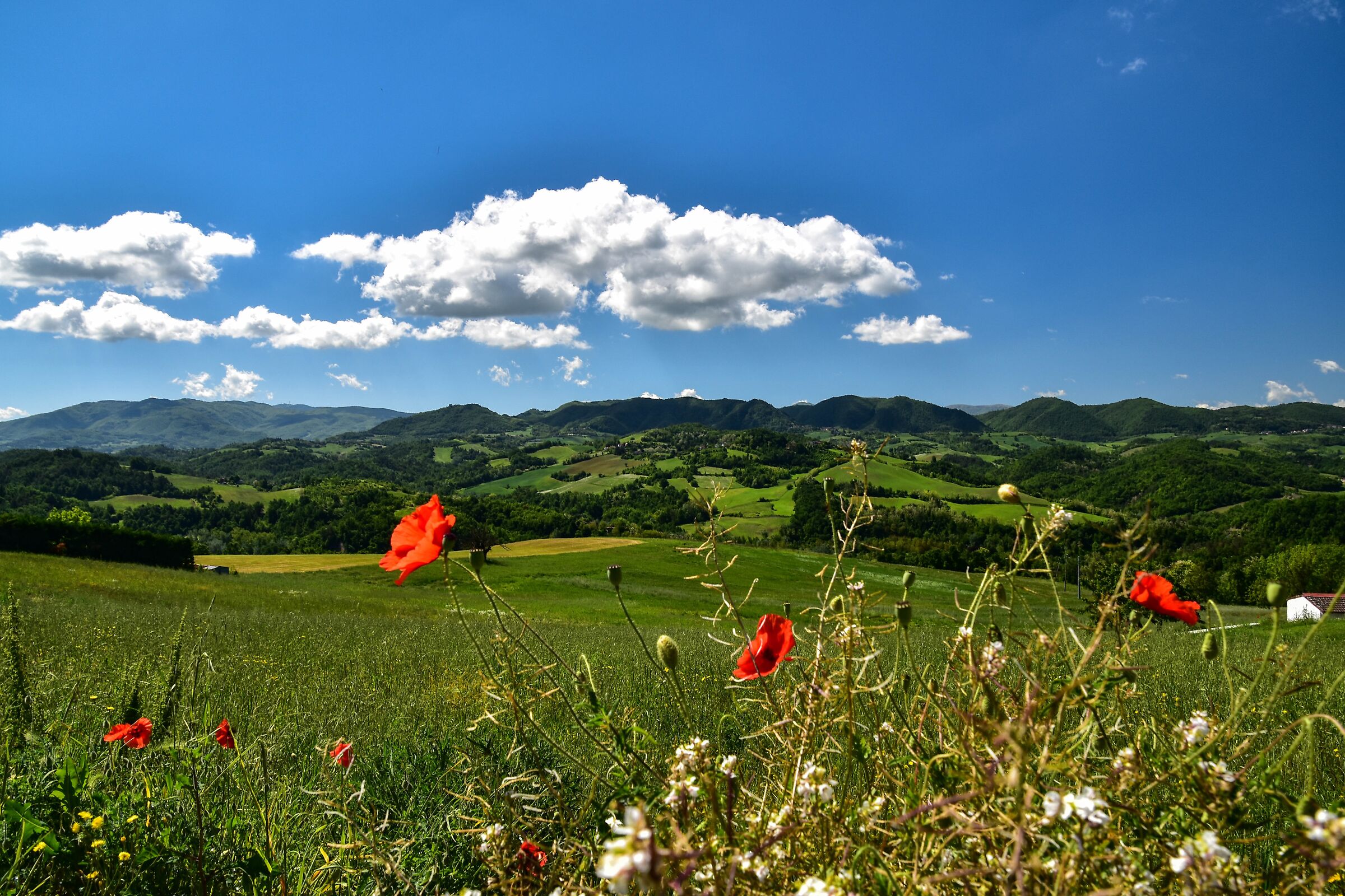 Valverde - Oltreposhire