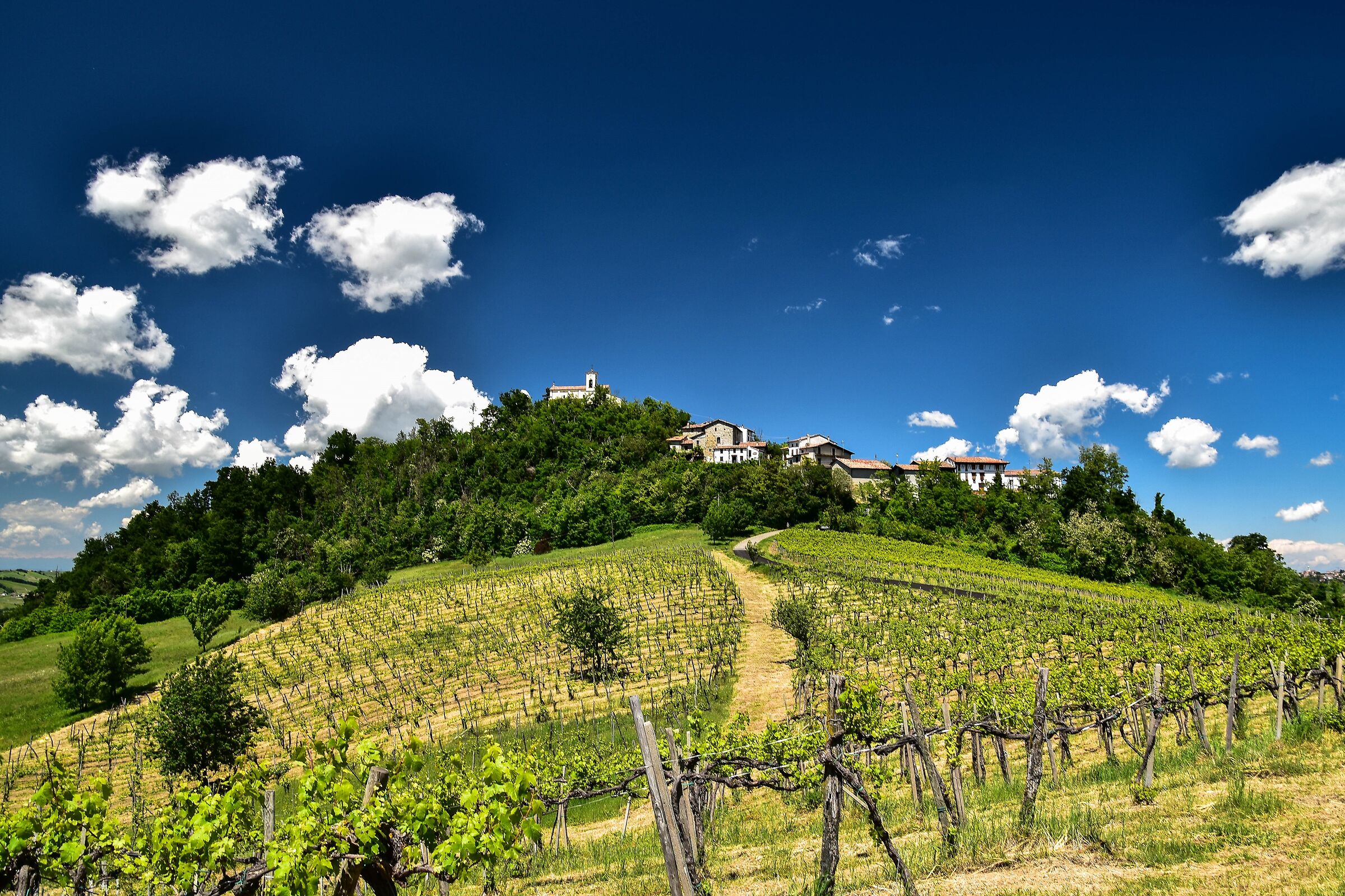 Canevino -Oltreposhire