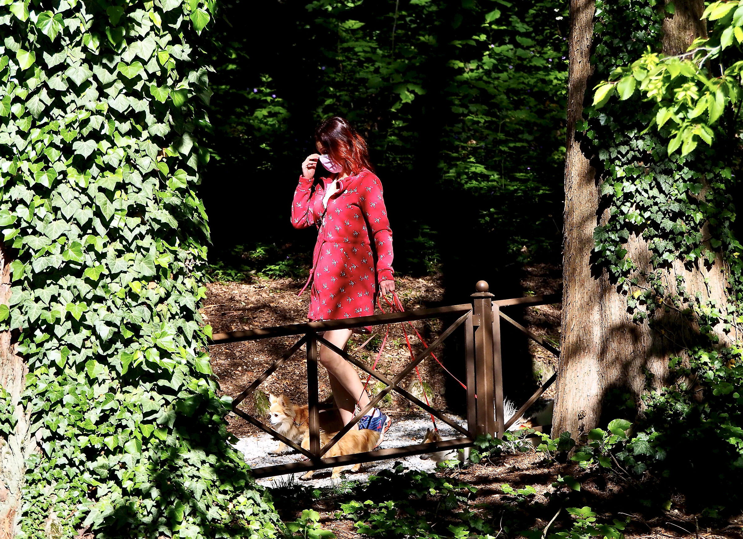 Passeggiando nel parco per un po' di serenità