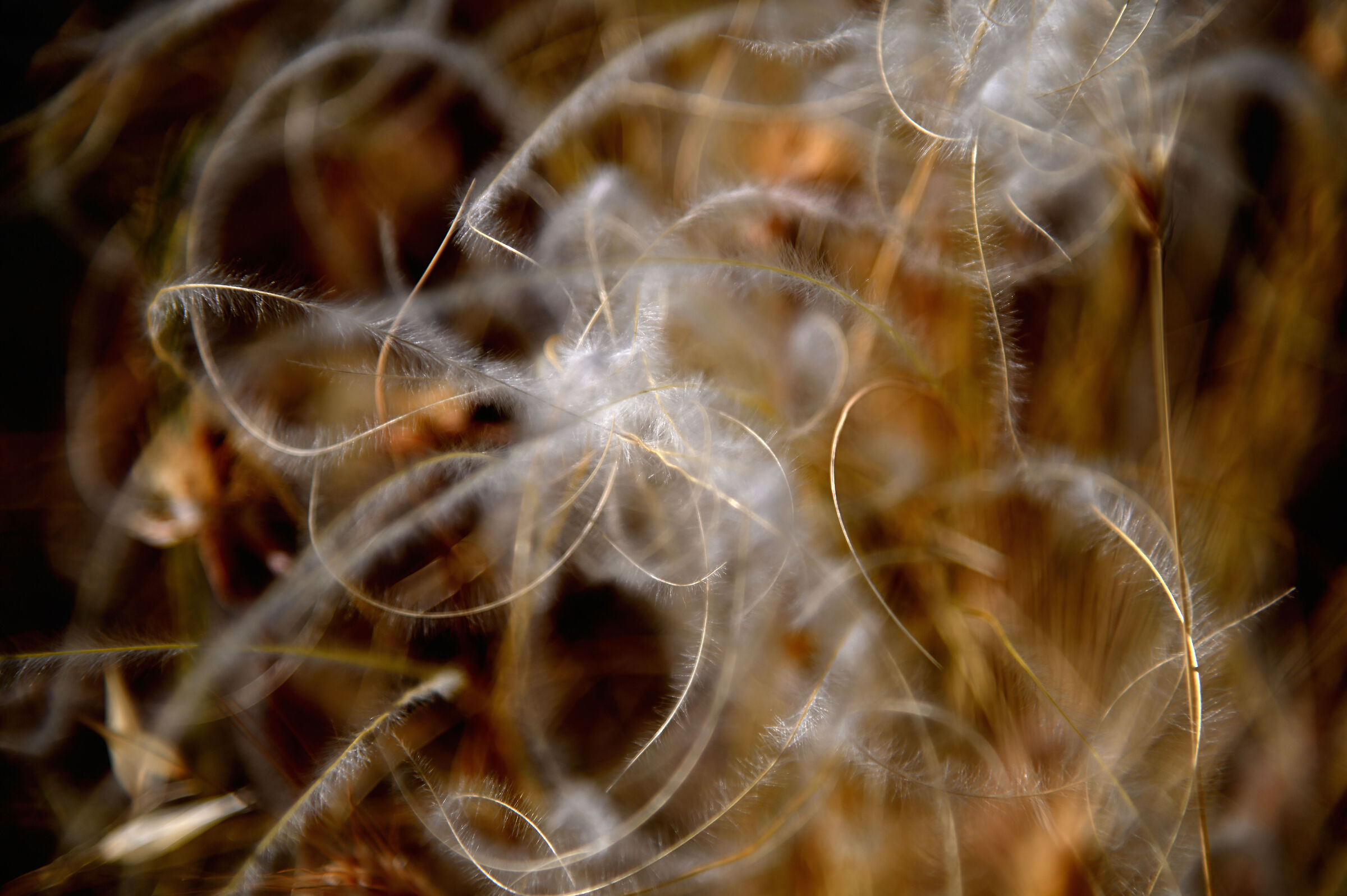 Angel Hair
