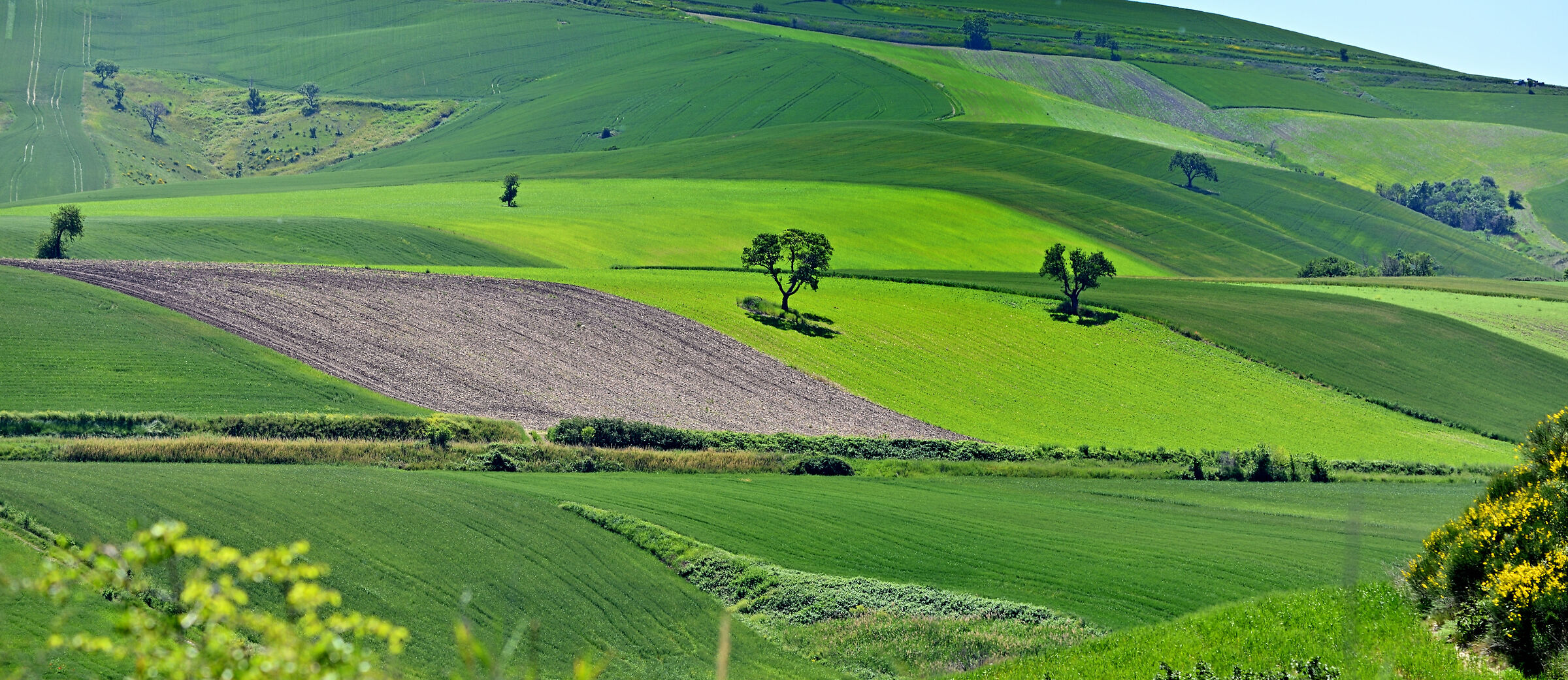 Dal Molise con amore