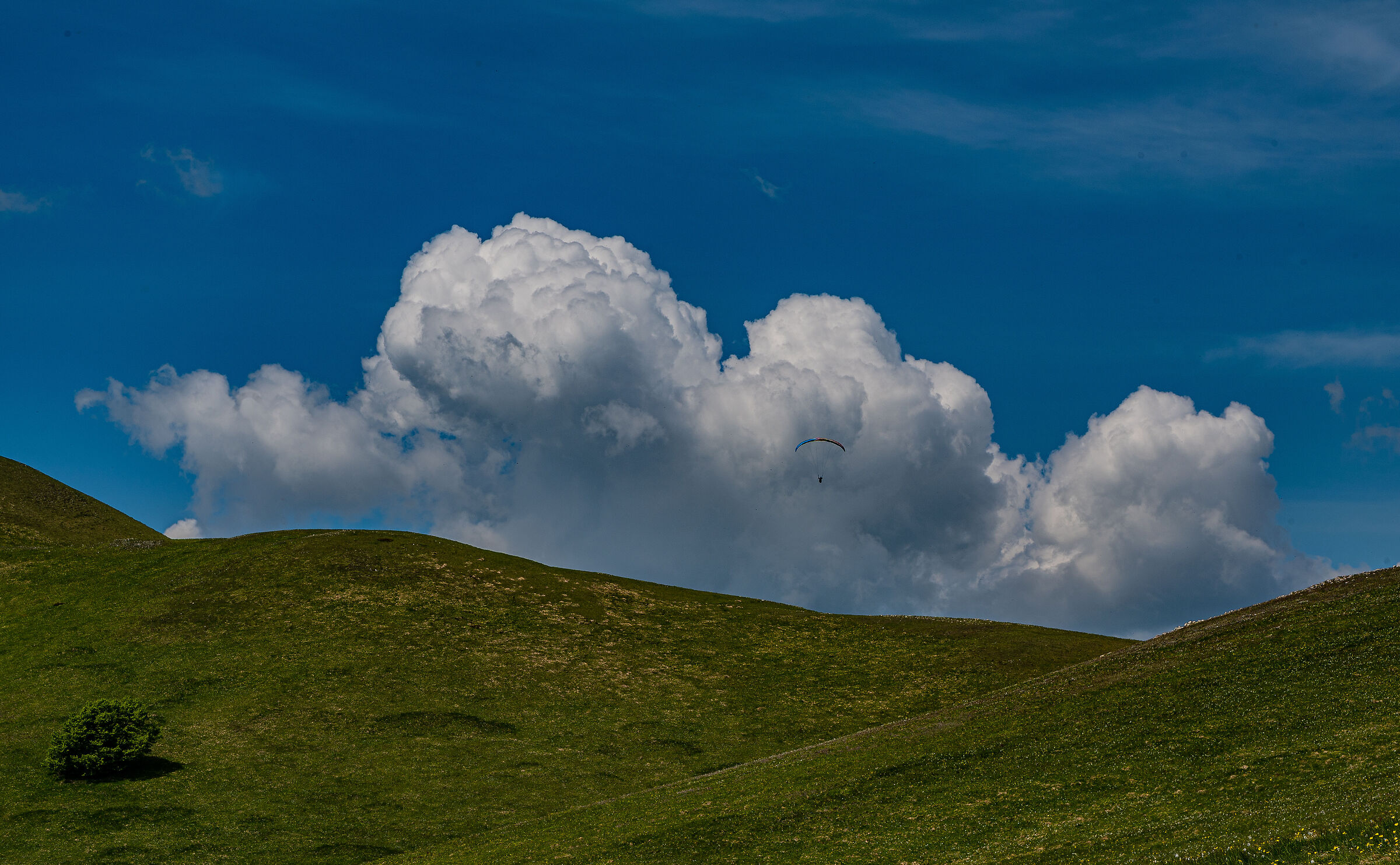 Nel Blu dipinto di Blu