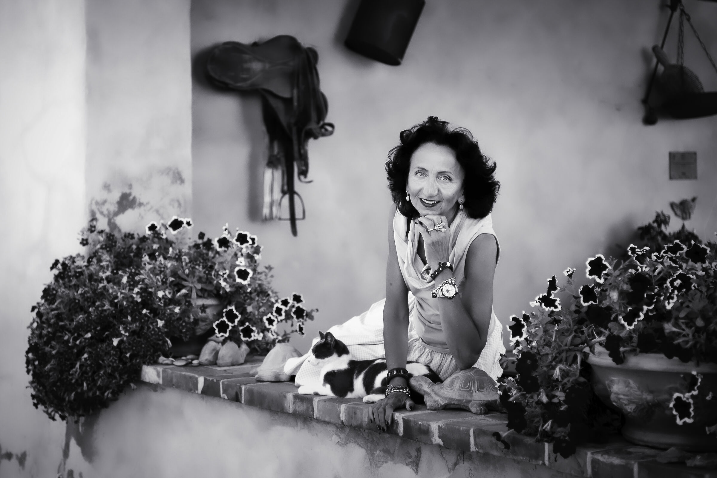 Cat on a Hot Tin Roof