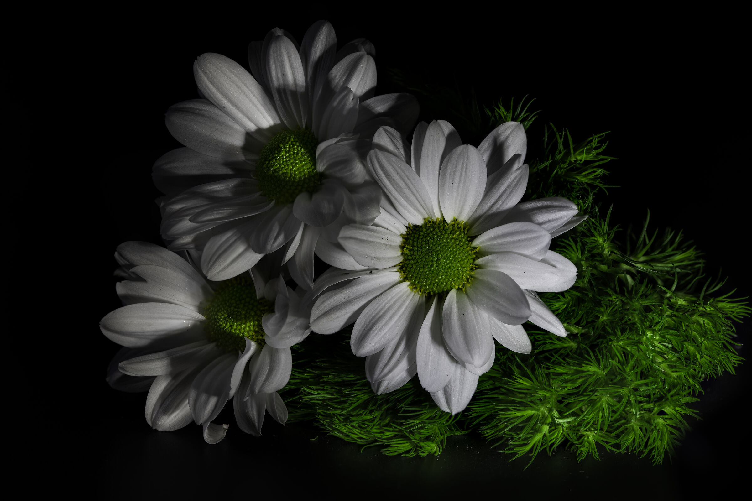 Macro experiments continue