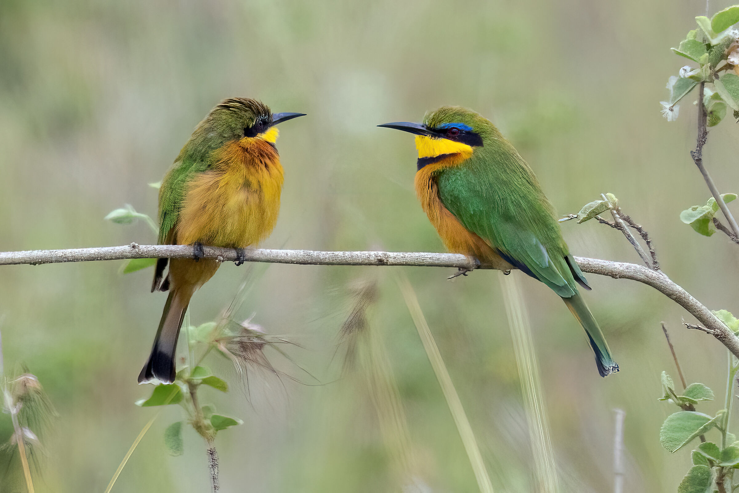 Facciamo due chiacchiere