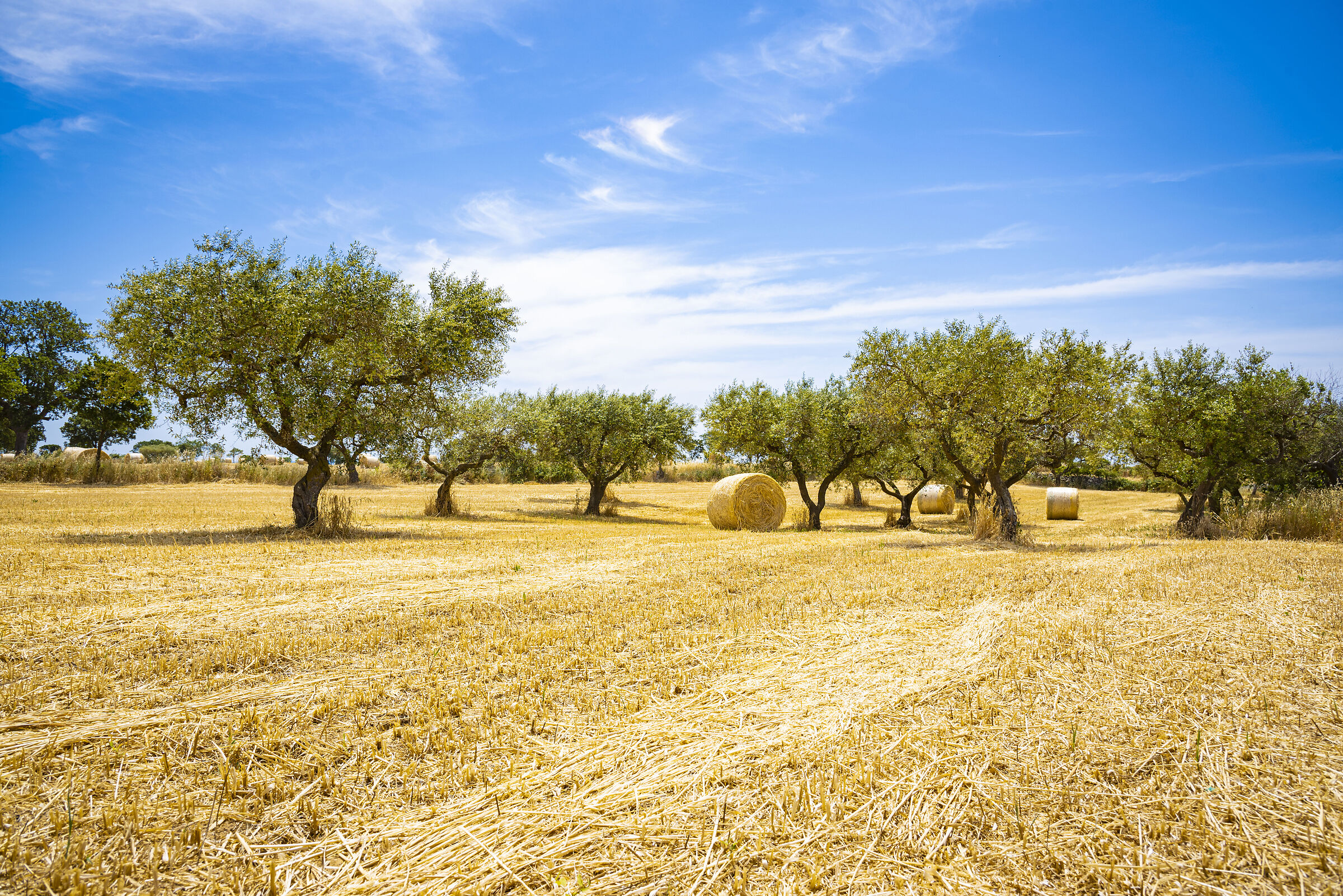 /Users/gianluca/Desktop/Post Production/Nikon I AM/Camp