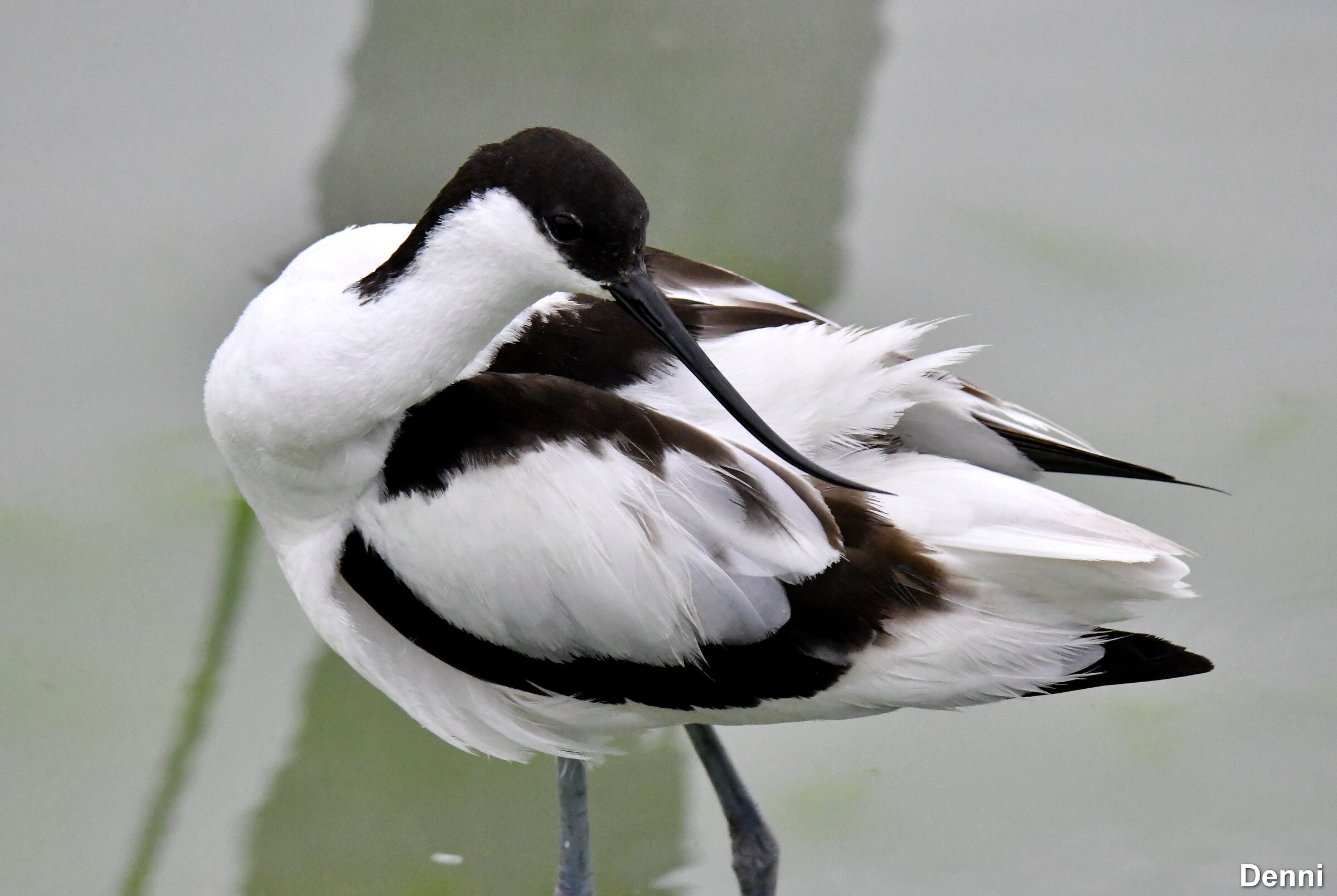 quiet because there were those who controlled it