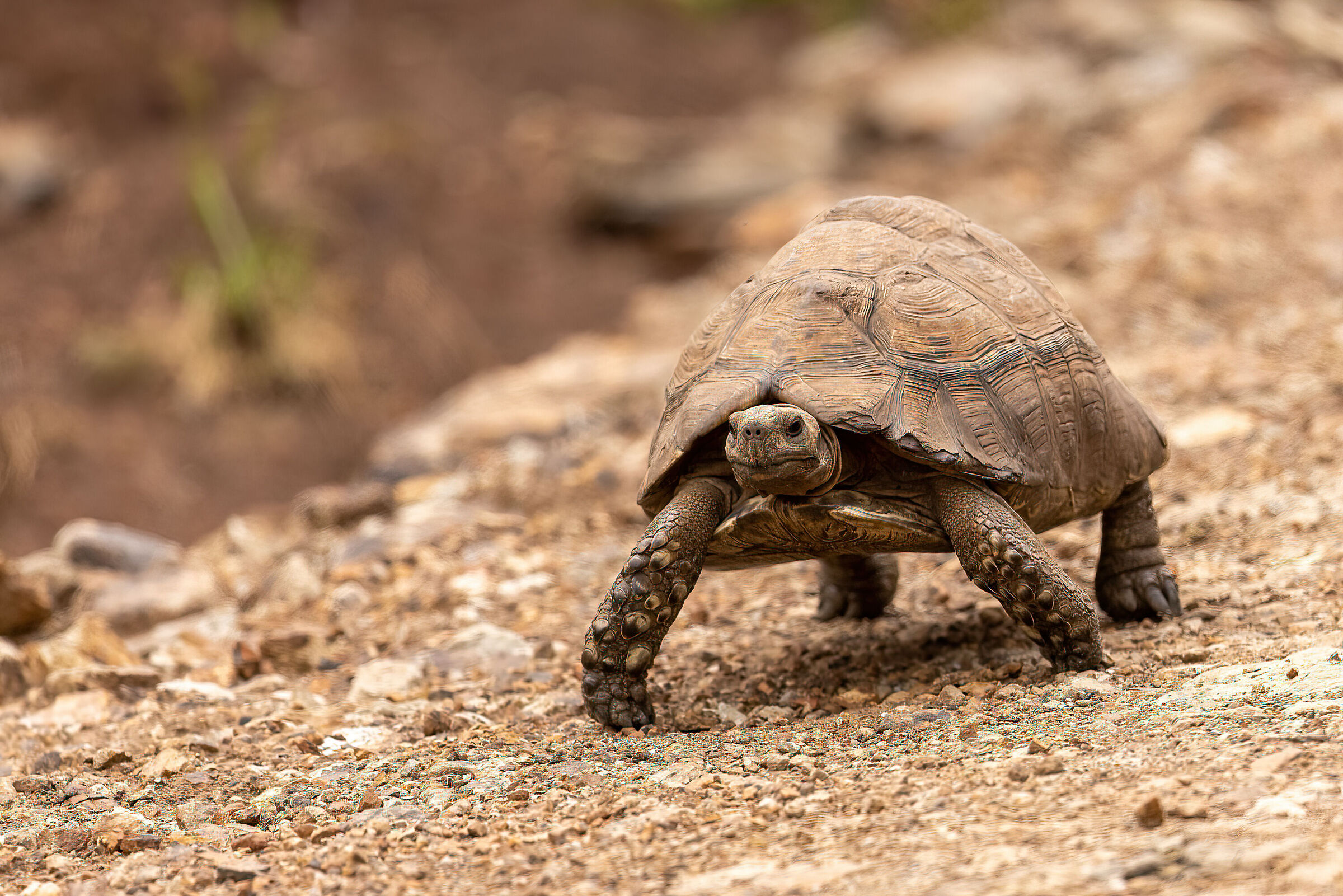 Arrivo pure io...piano pero'