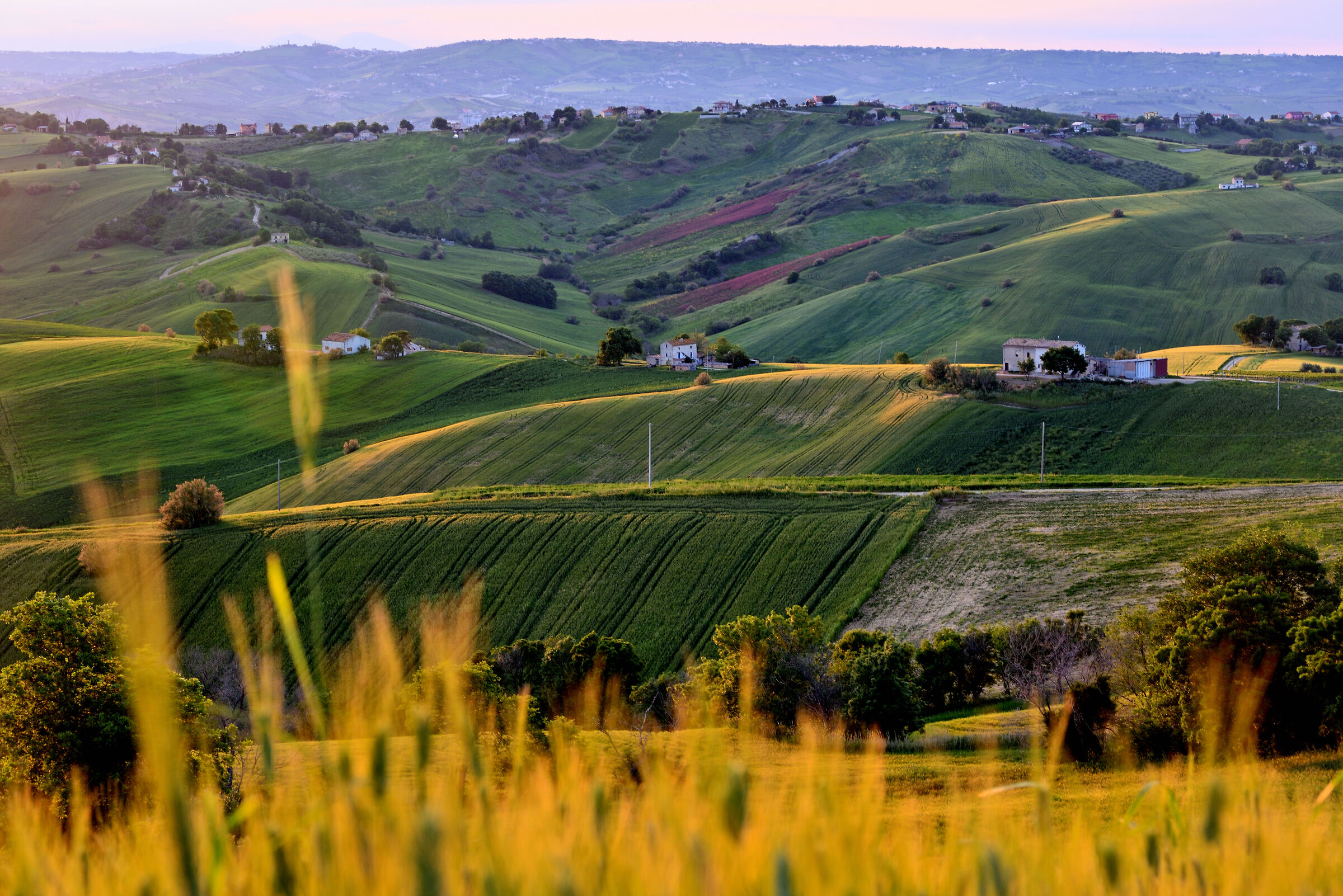 Colline abruzzesi