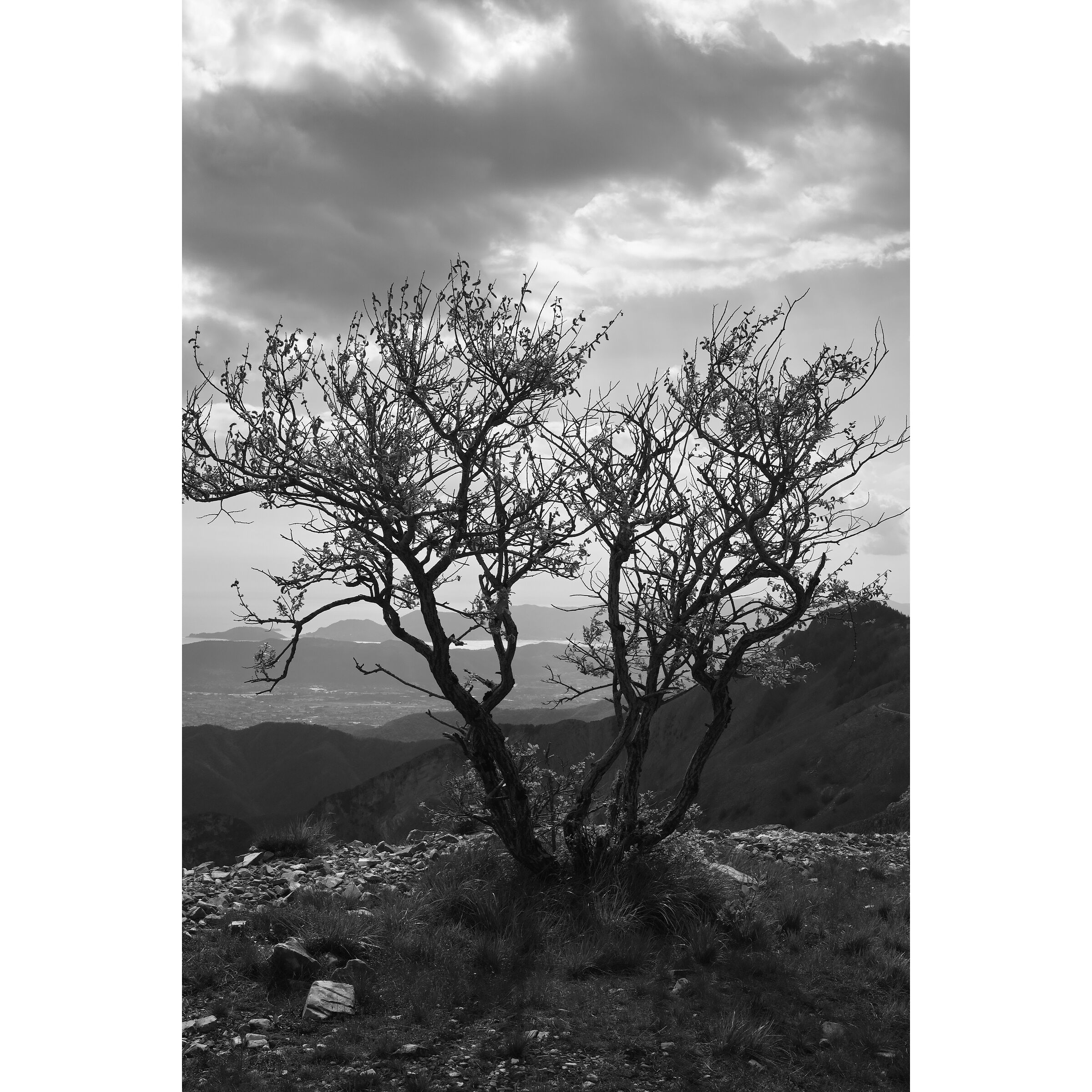 Untitled Photo
