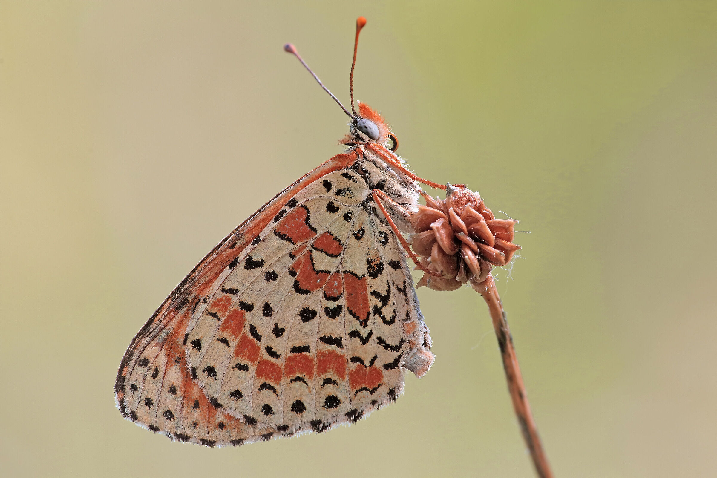 ...l'indispensabile !