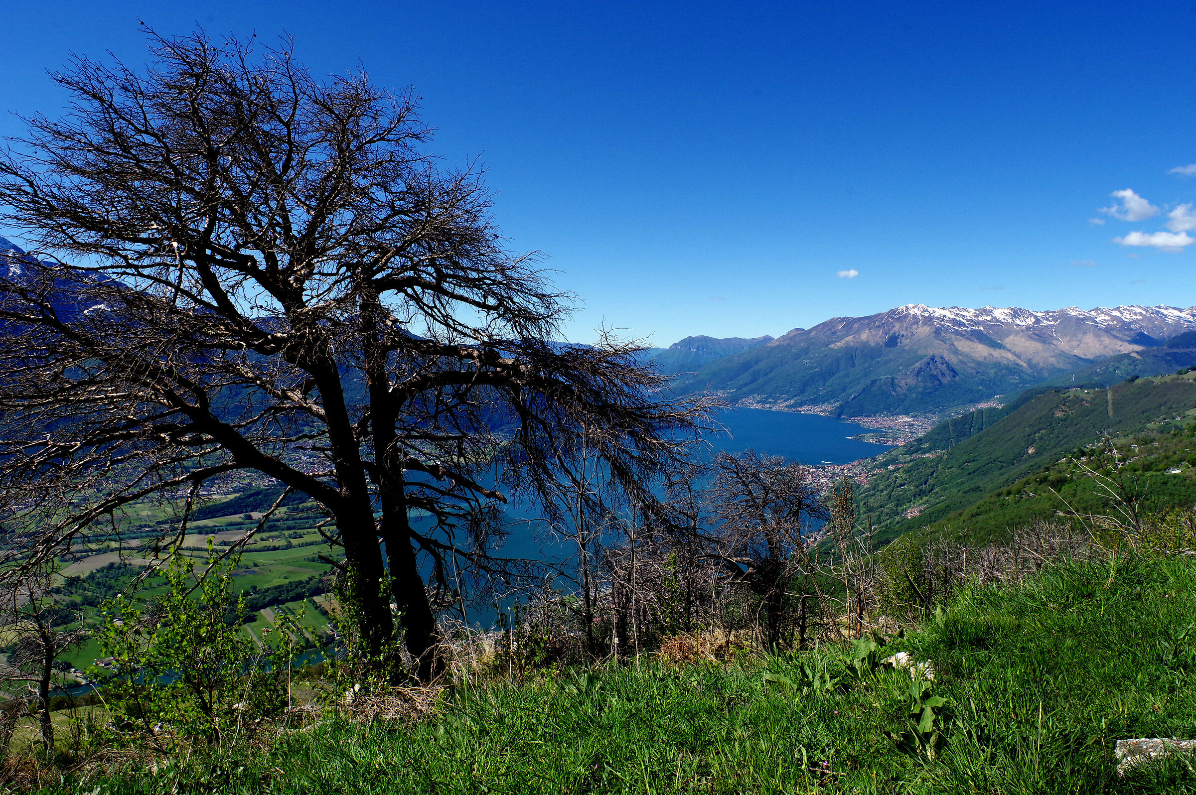 Lago di Como