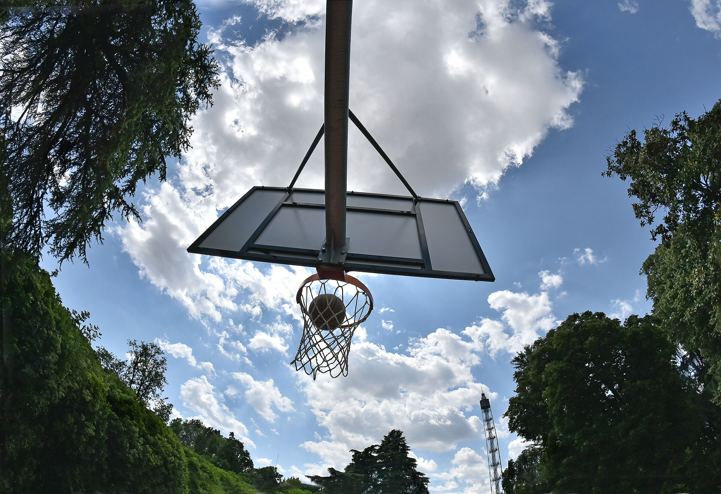 basket