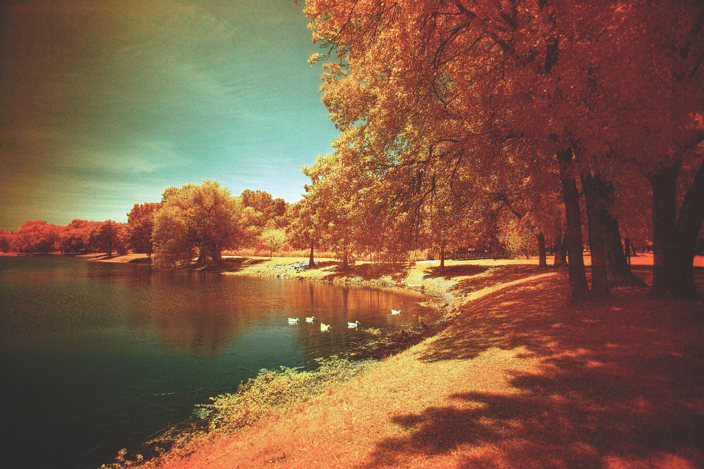 Towne Lake Park falso colore infrarosso