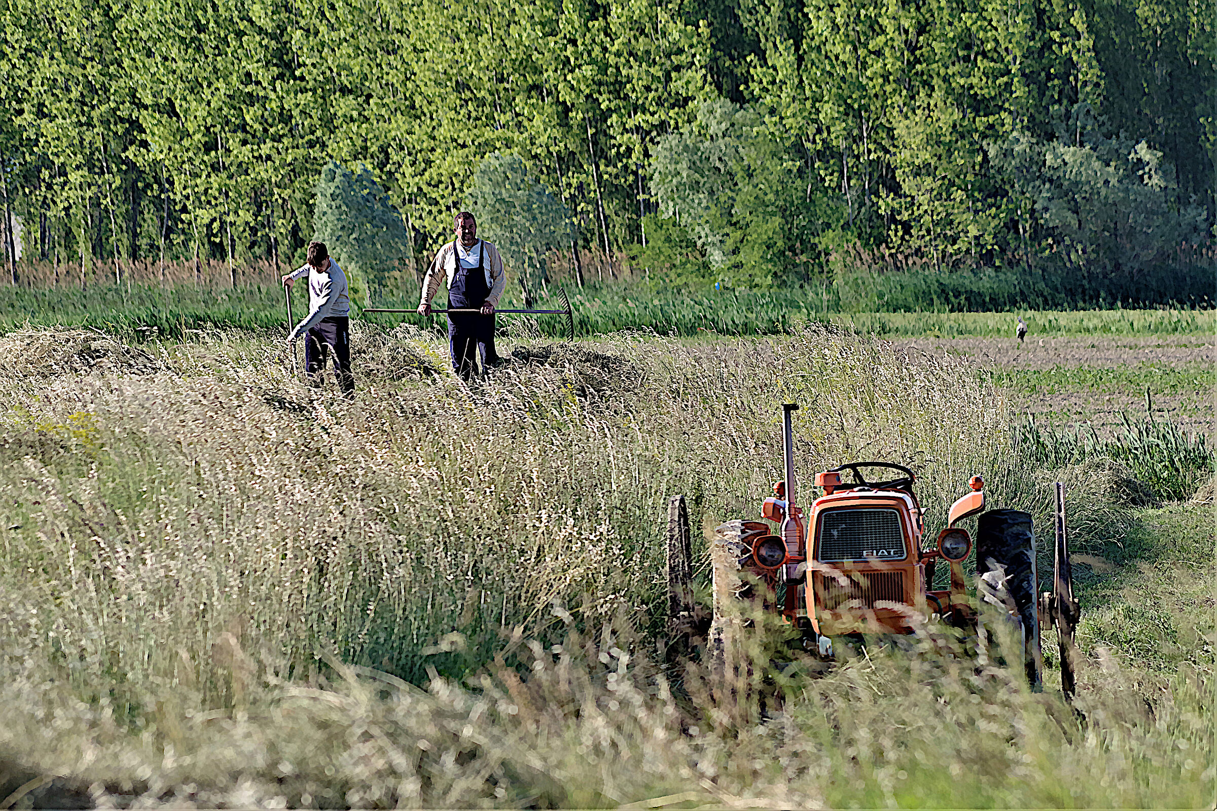 Gente al lavoro