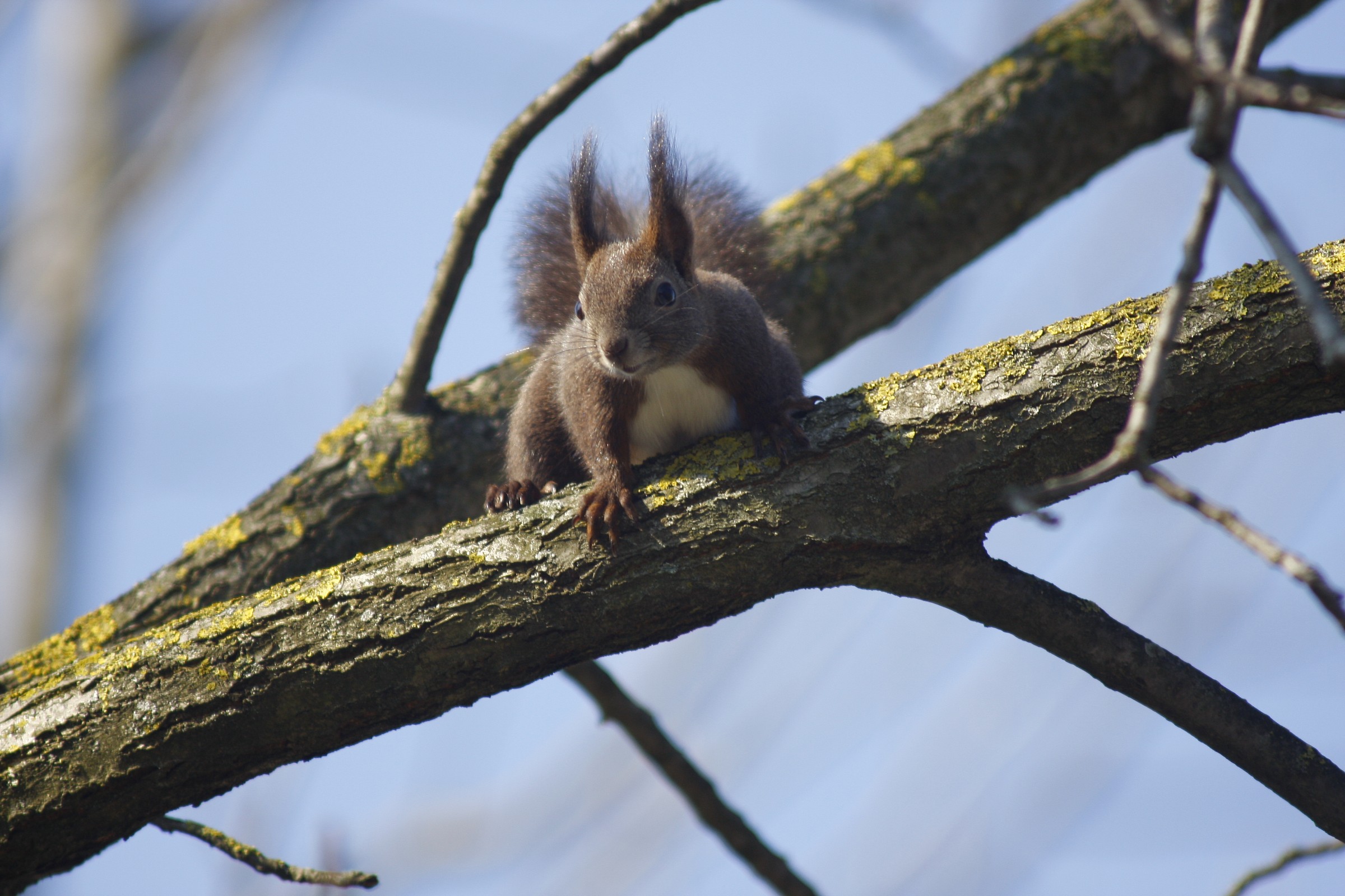 ancora tu!!! lasciami in pace!!!