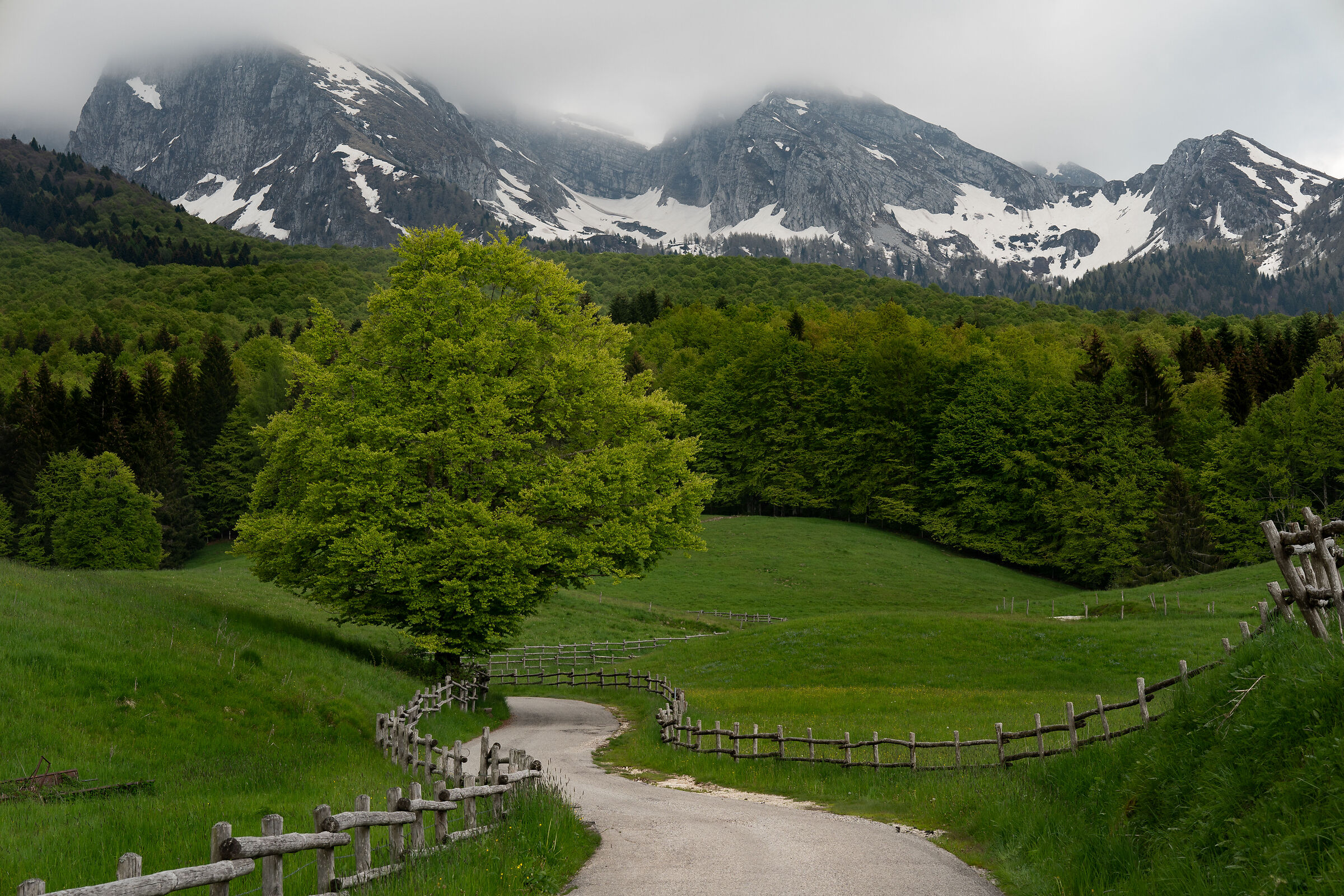 Col Indes in spring robe