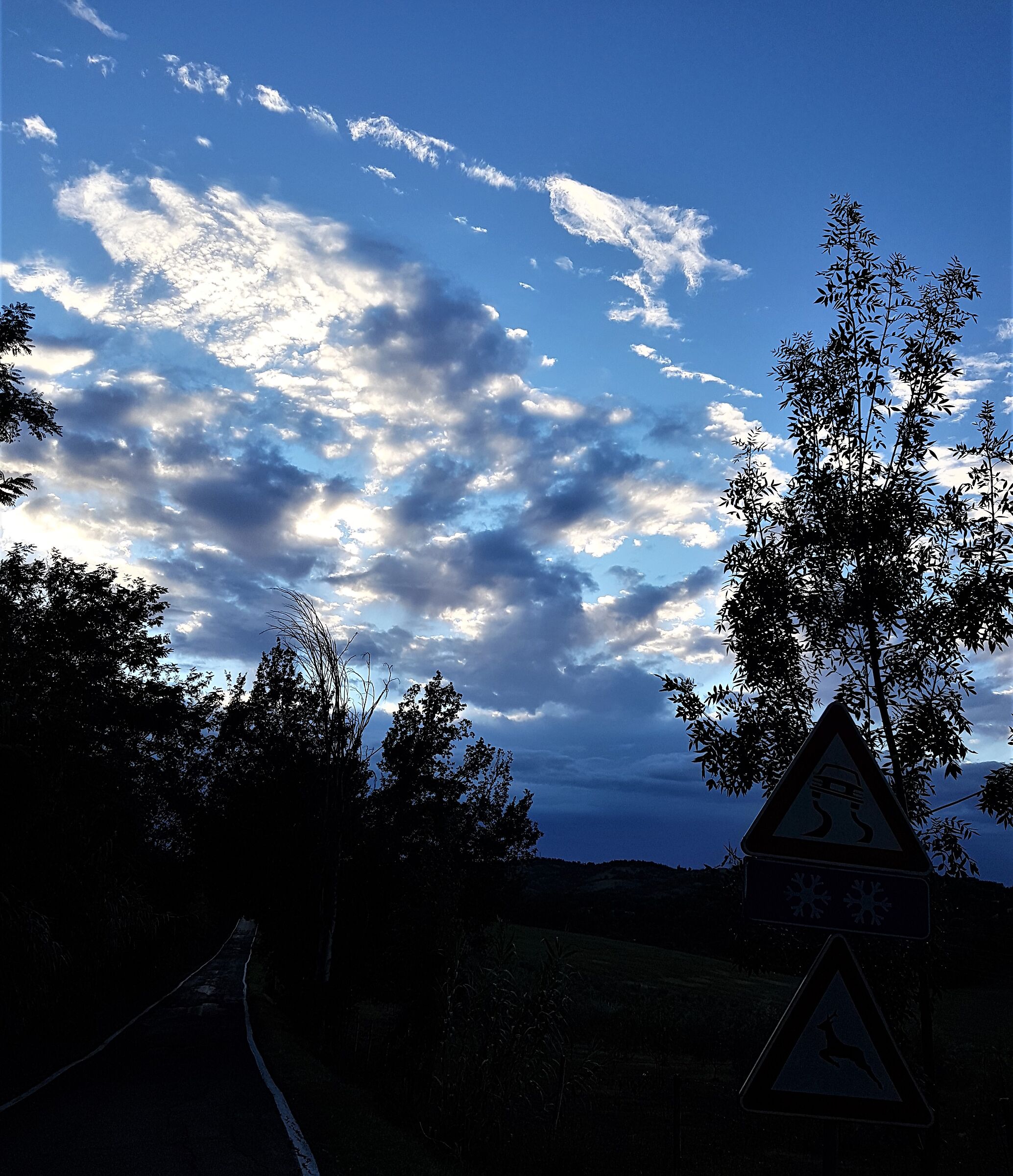 panorama