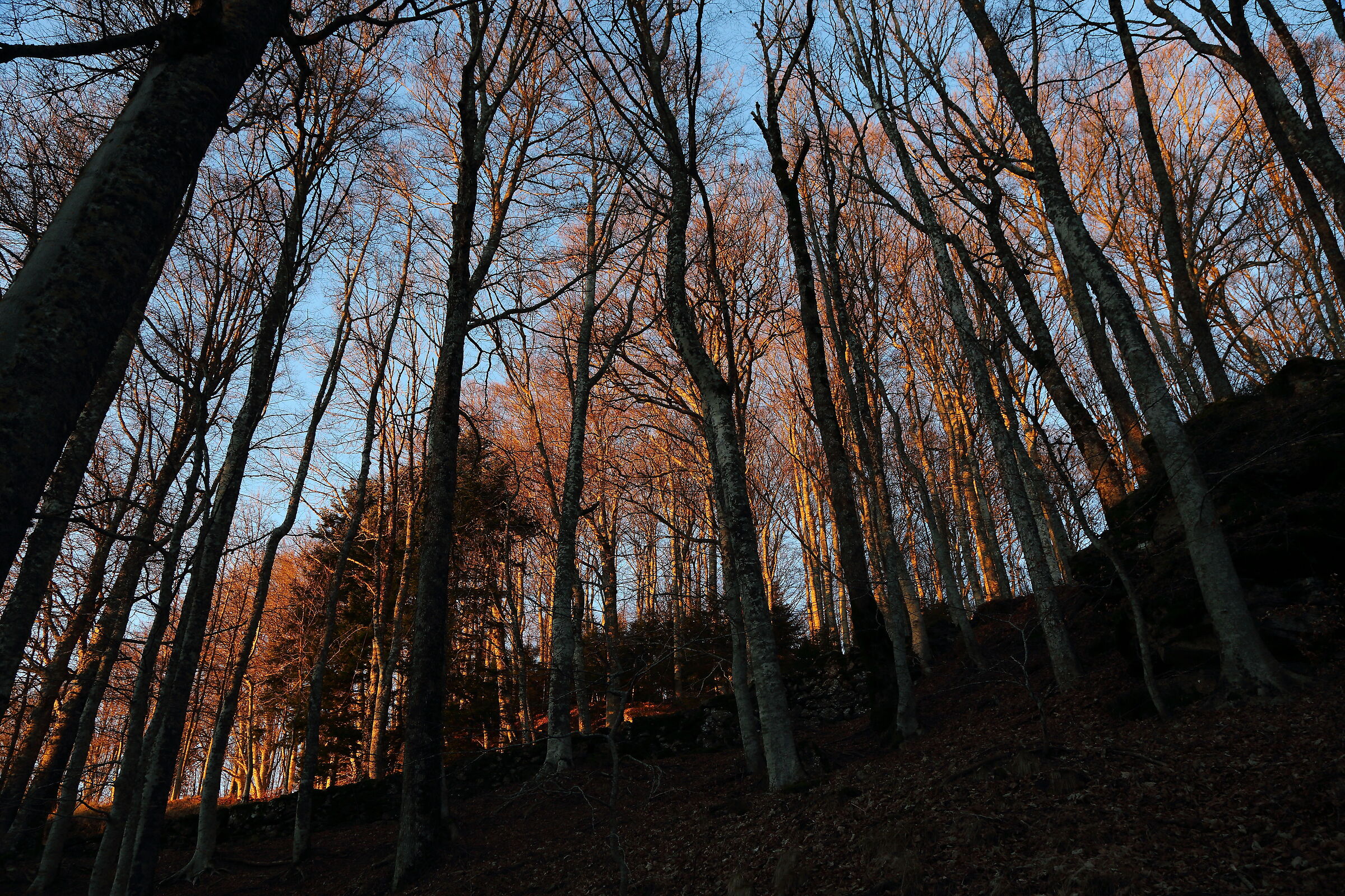 Il rossore dell'ultima luce