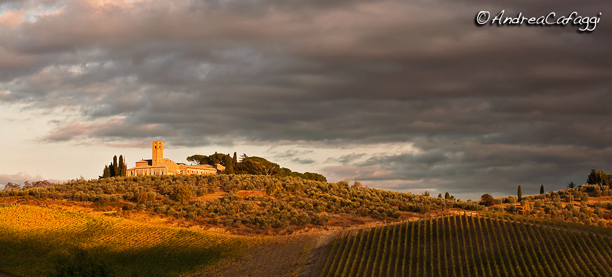 Colline a San Gimignano.