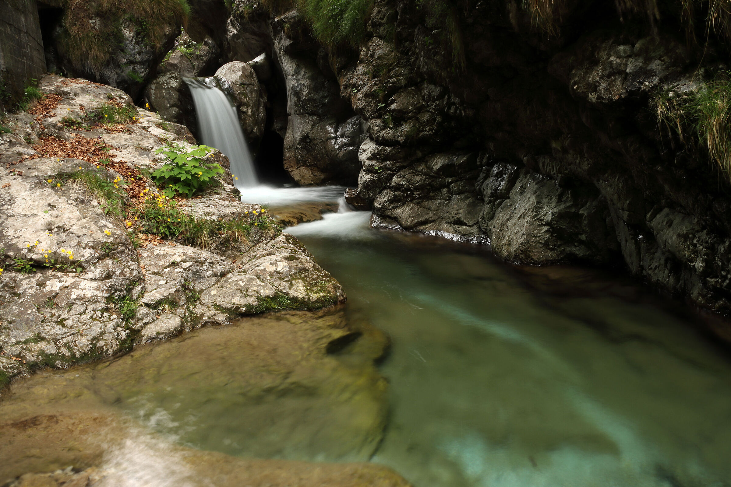 V A L V E R T O V A  6