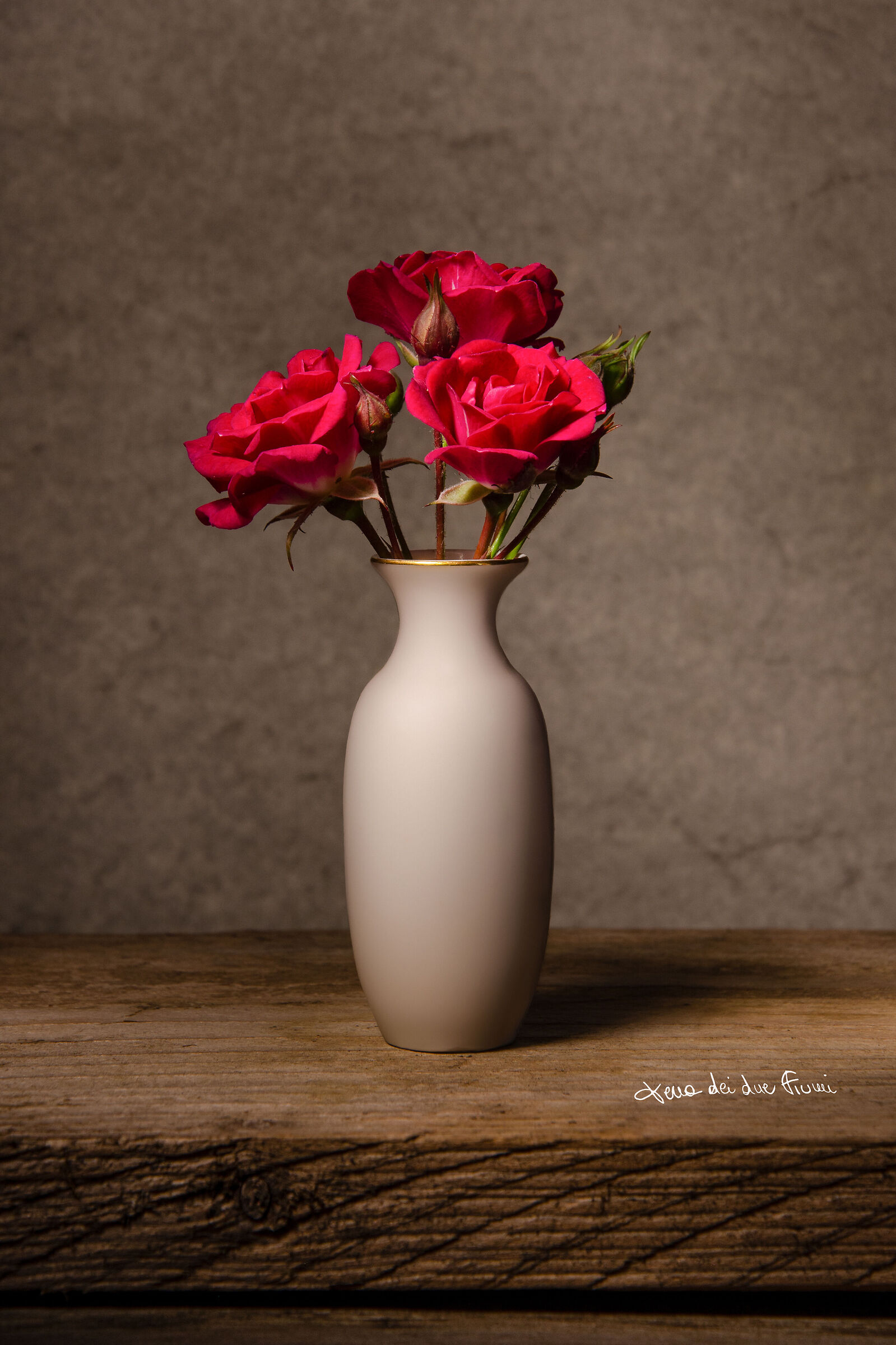 Rose... light painting