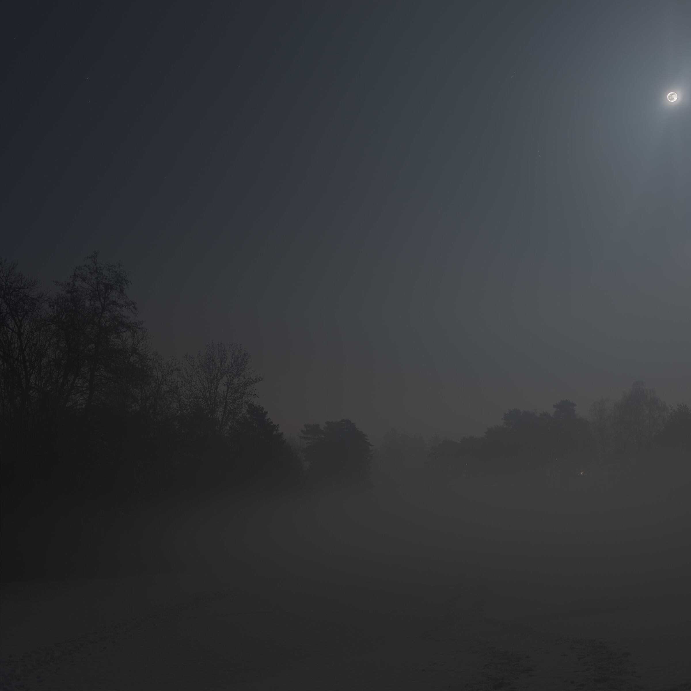 Campo di golf, luna neve e nebbia