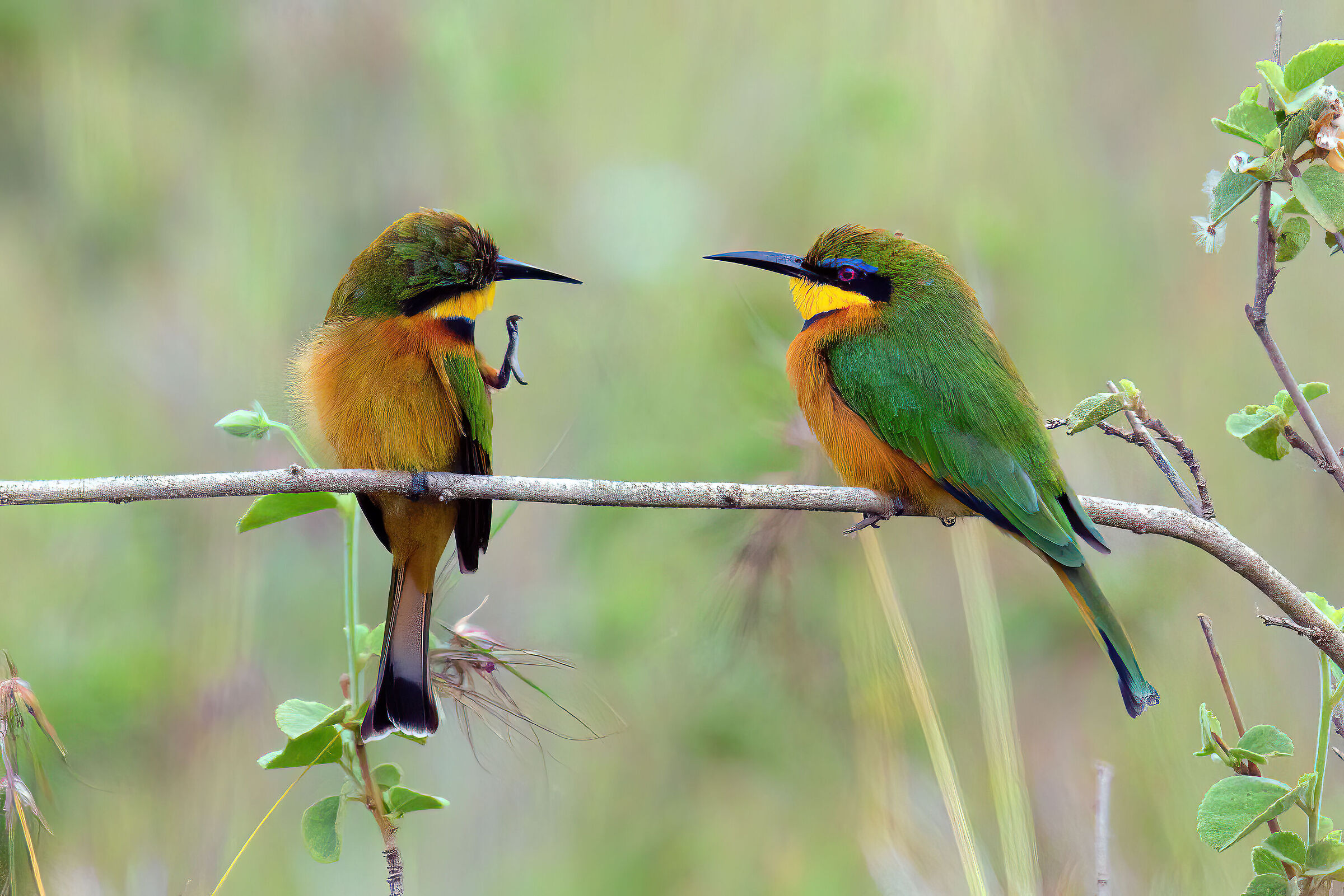 Ti piace il mio piedino?