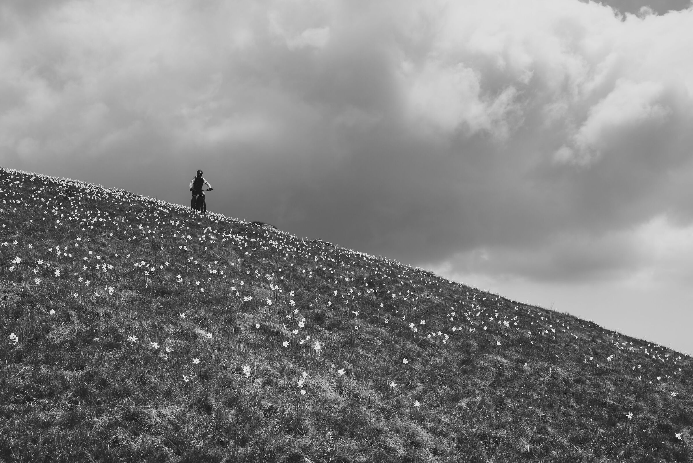 Cycling between earth and sky