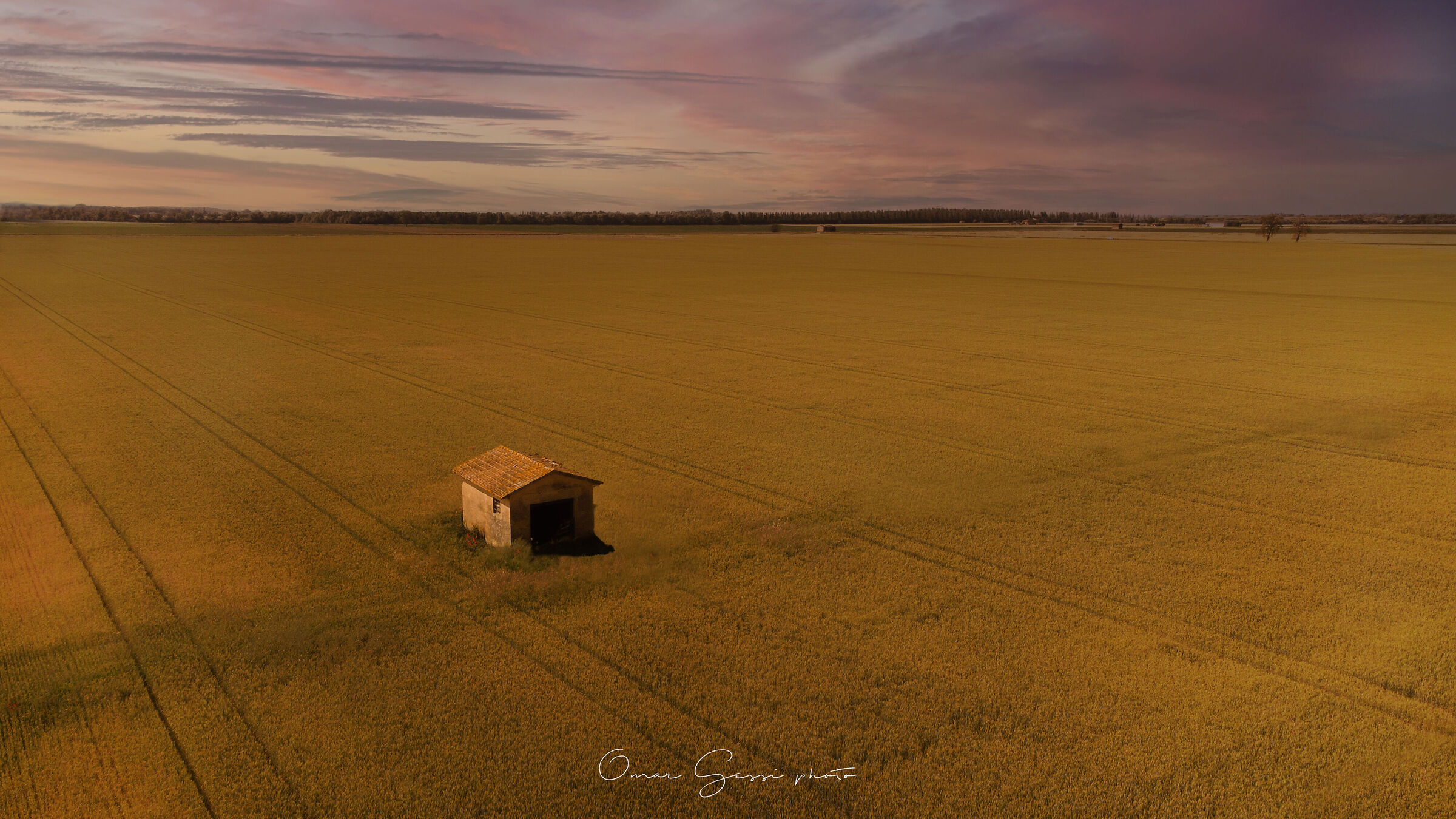 Wheat field